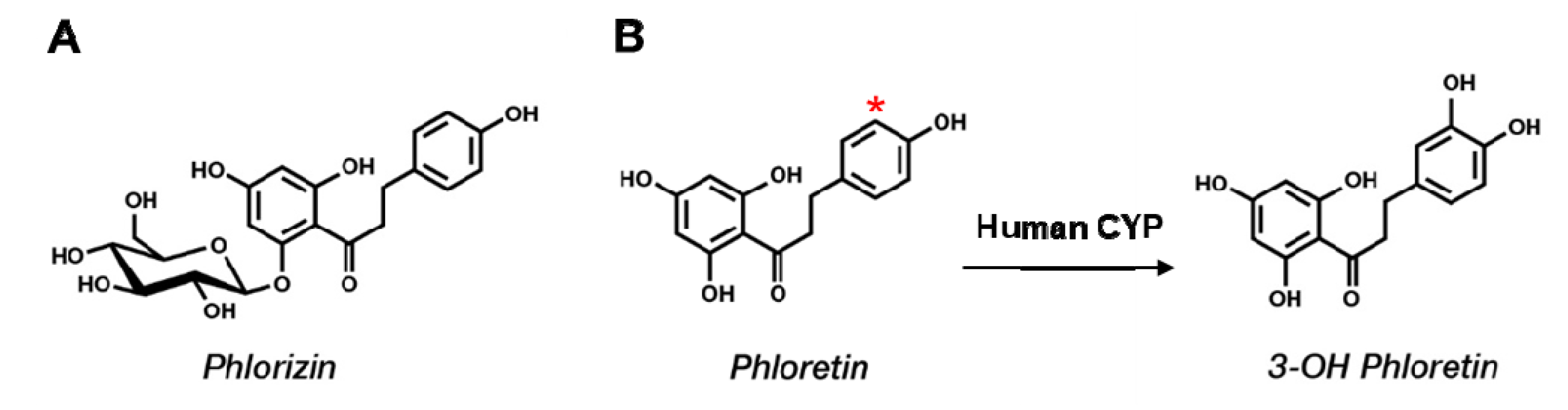 Pharmaceuticals 13 00330 g001