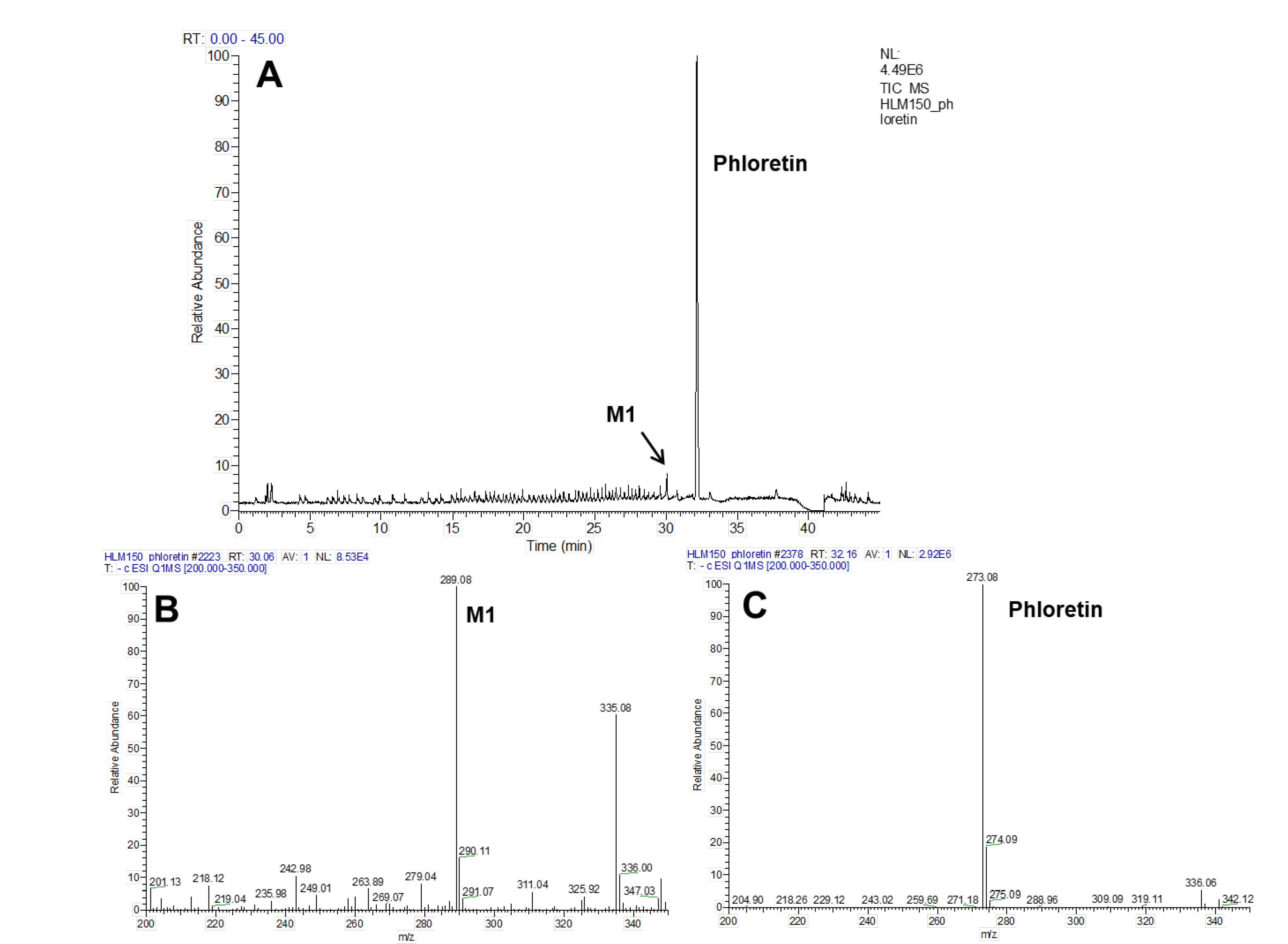 Pharmaceuticals 13 00330 g003