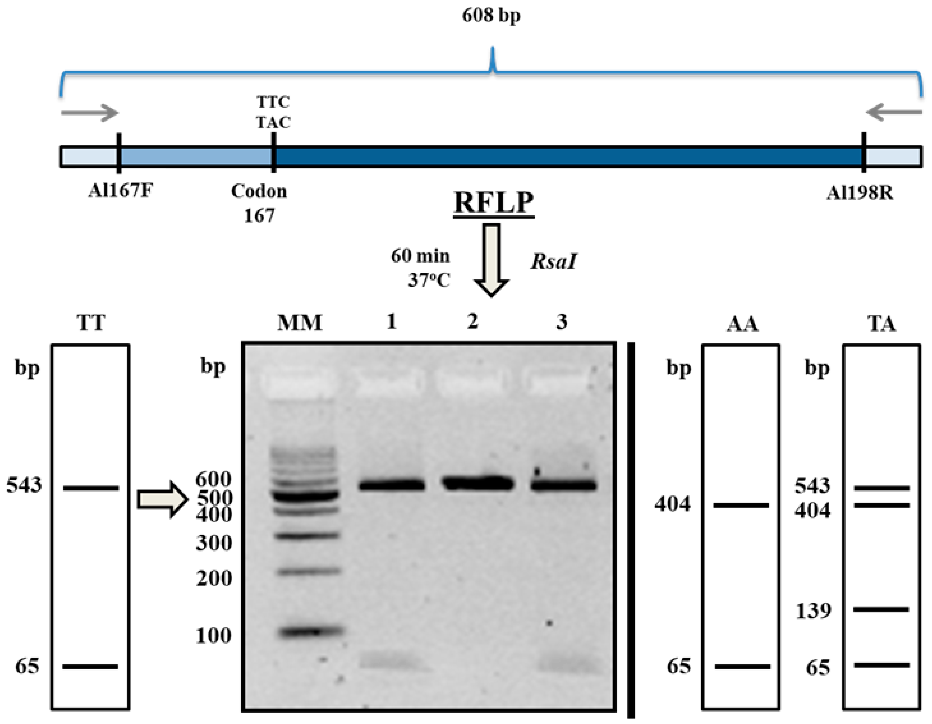 Pharmaceuticals 13 00332 g005