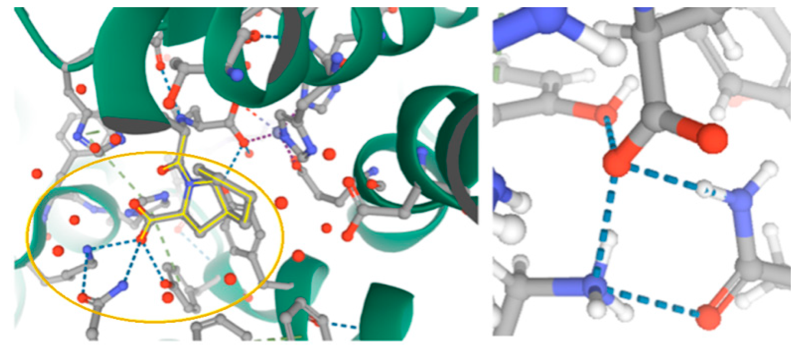 Pharmaceuticals 13 00338 g011