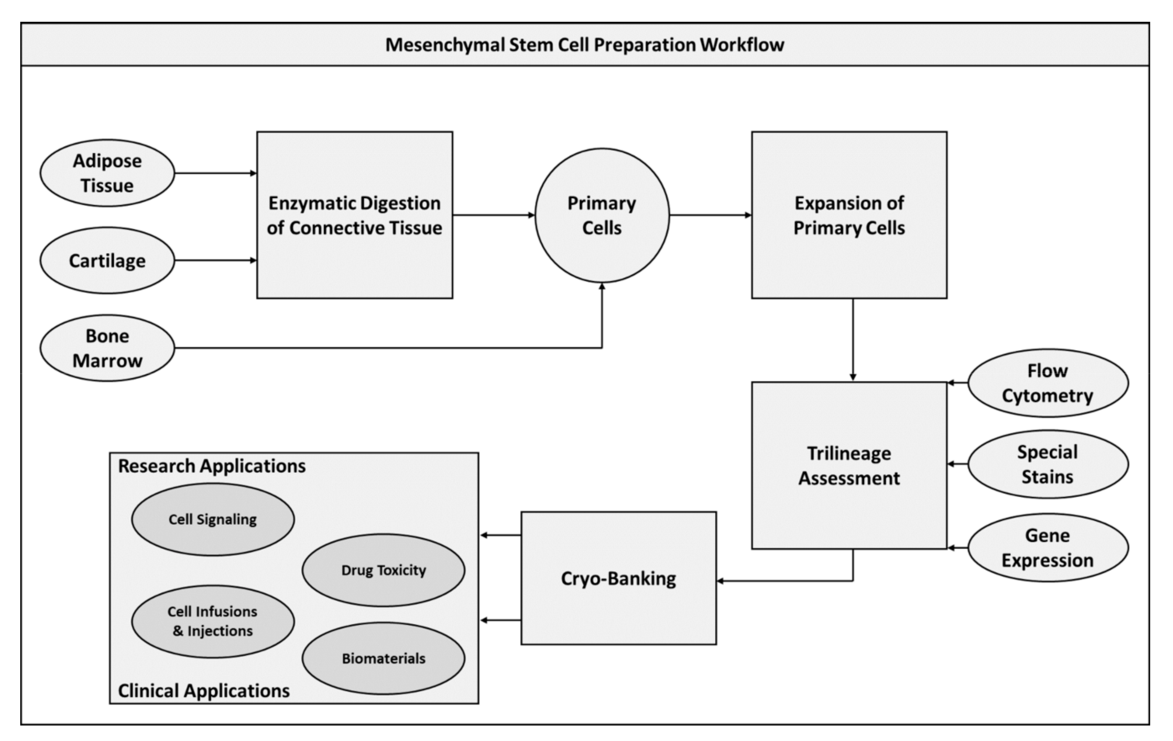 Pharmaceuticals 13 00344 g001 Pharmaceuticals 13 00344 g001