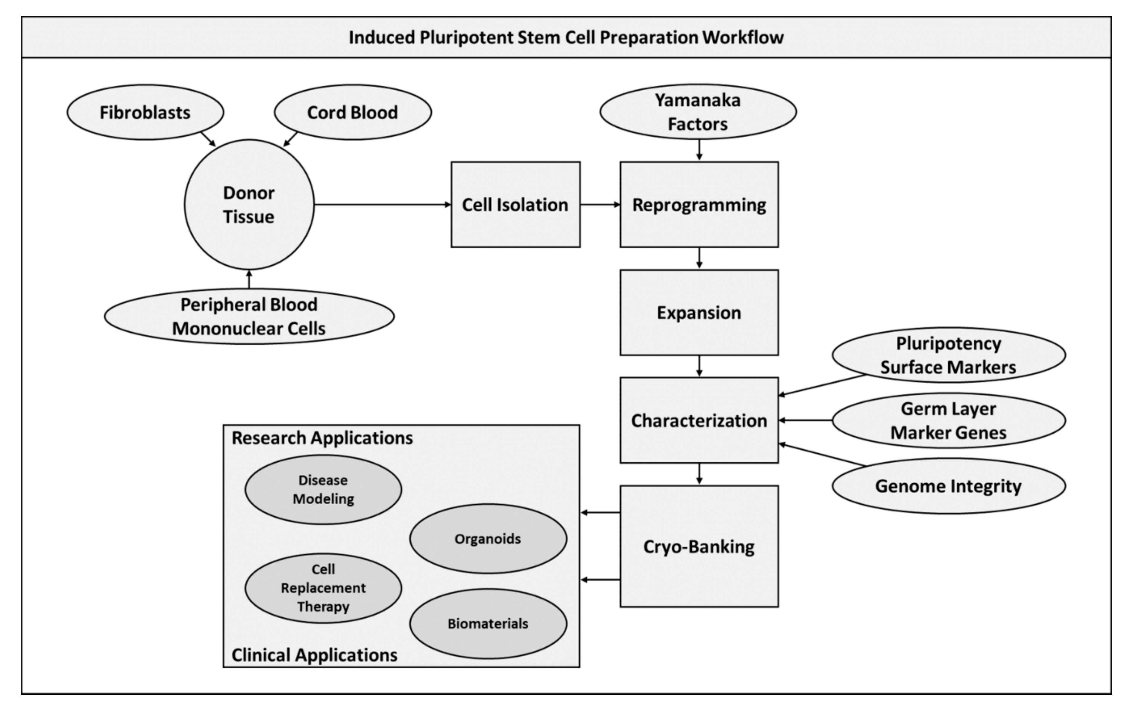 Pharmaceuticals 13 00344 g002 Pharmaceuticals 13 00344 g002