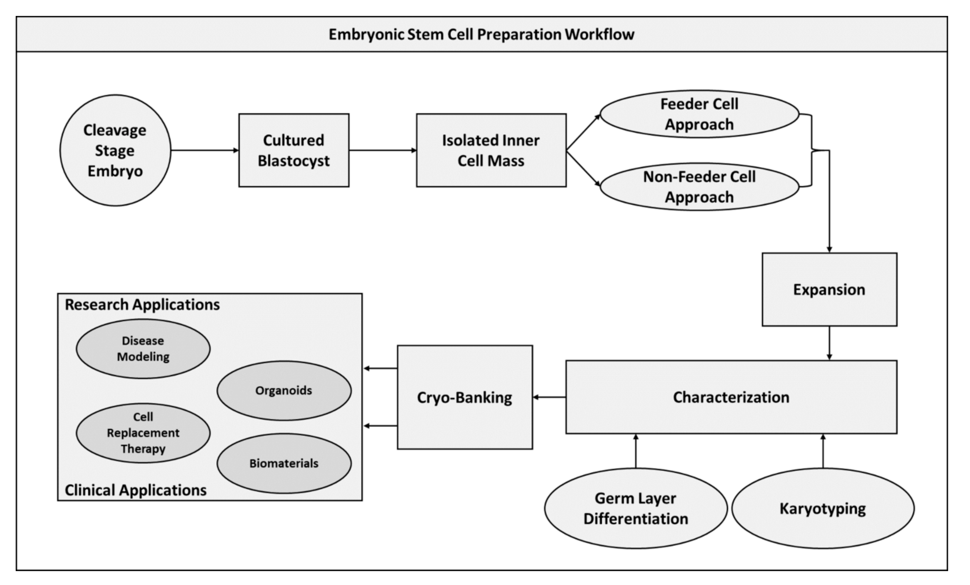 Pharmaceuticals 13 00344 g003 Pharmaceuticals 13 00344 g003