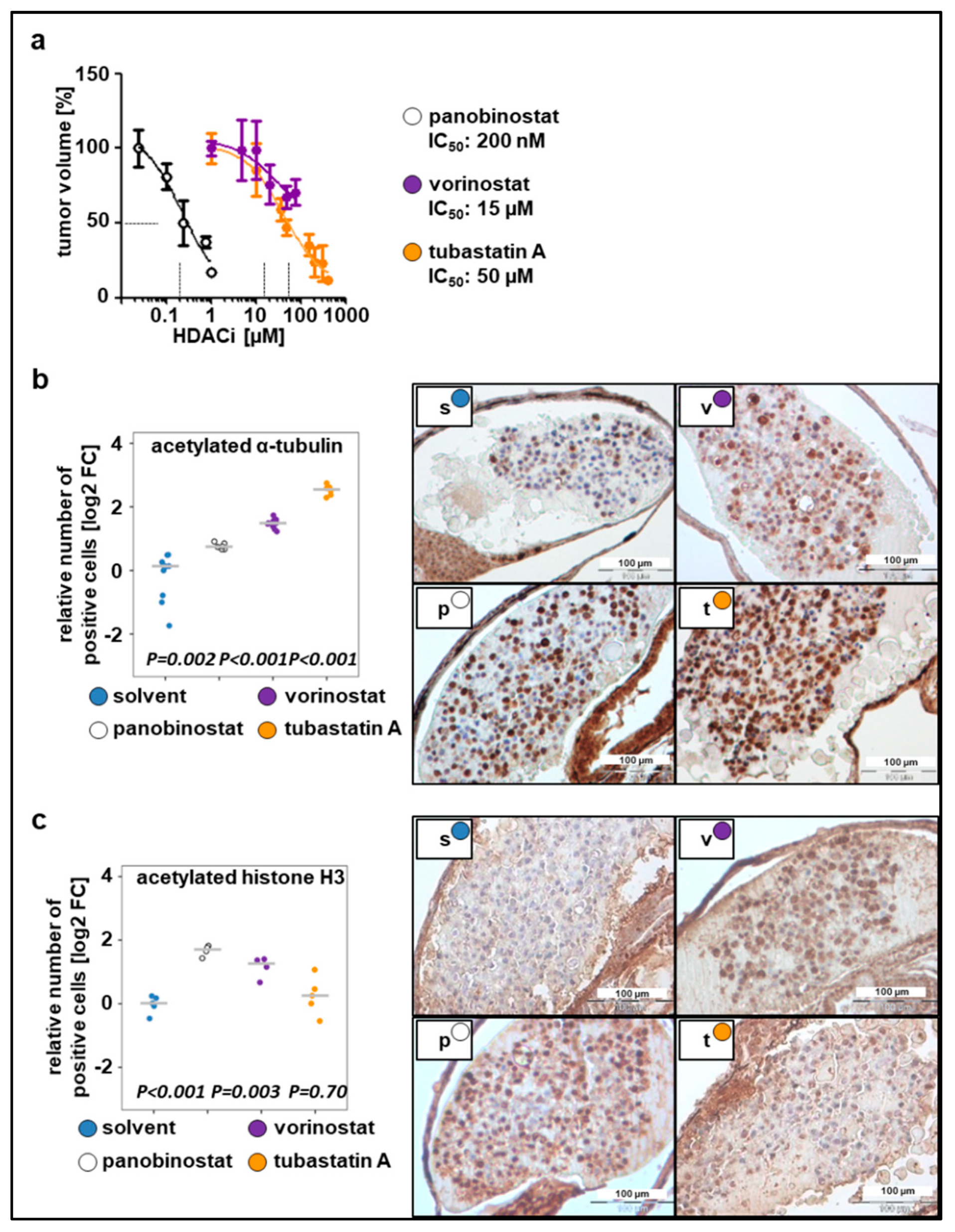 Pharmaceuticals 13 00345 g002