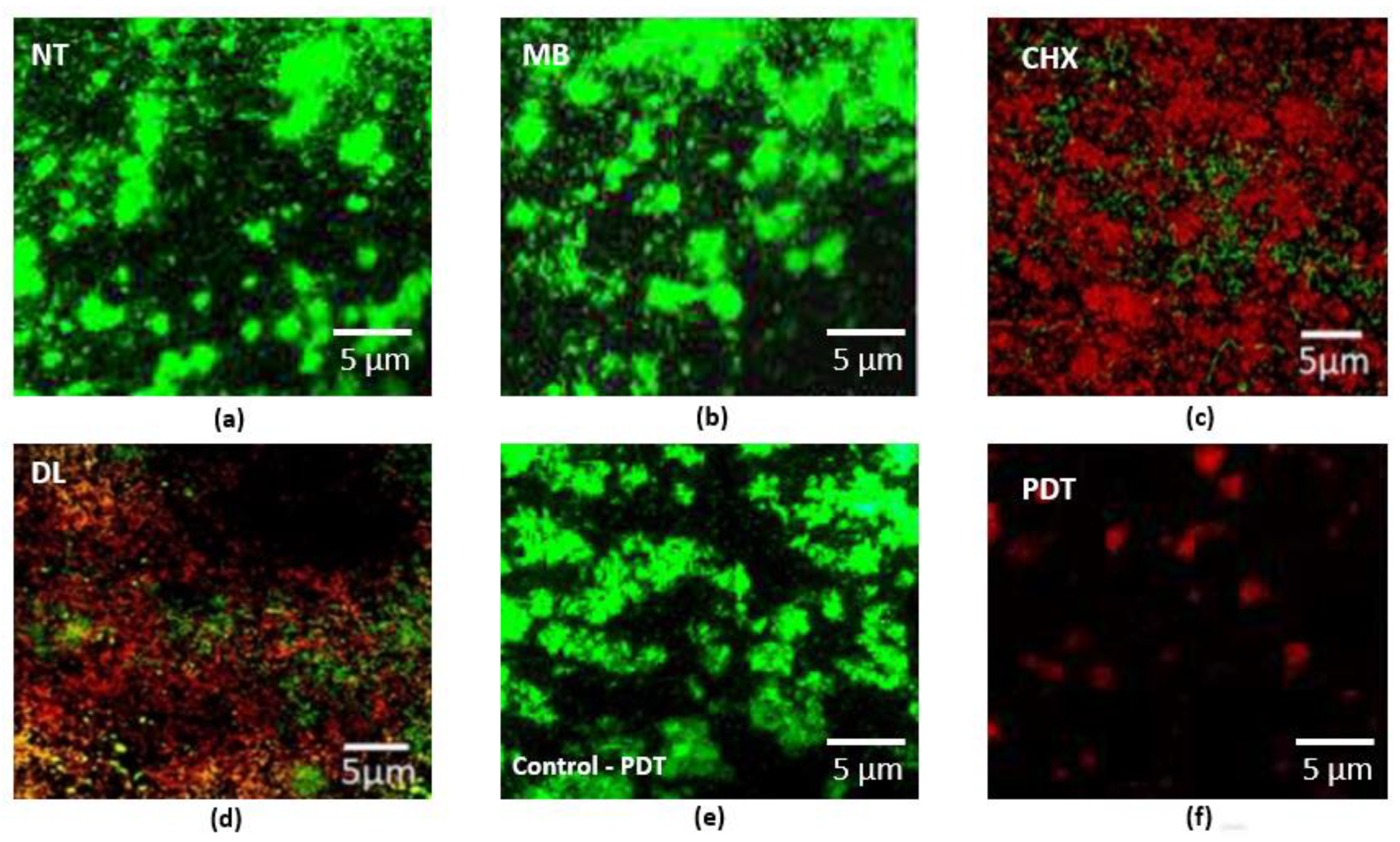 Pharmaceuticals 13 00350 g002 Pharmaceuticals 13 00350 g002