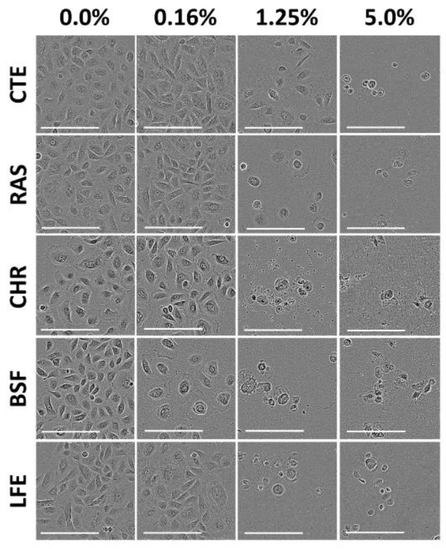 Pharmaceuticals 13 00353 g002