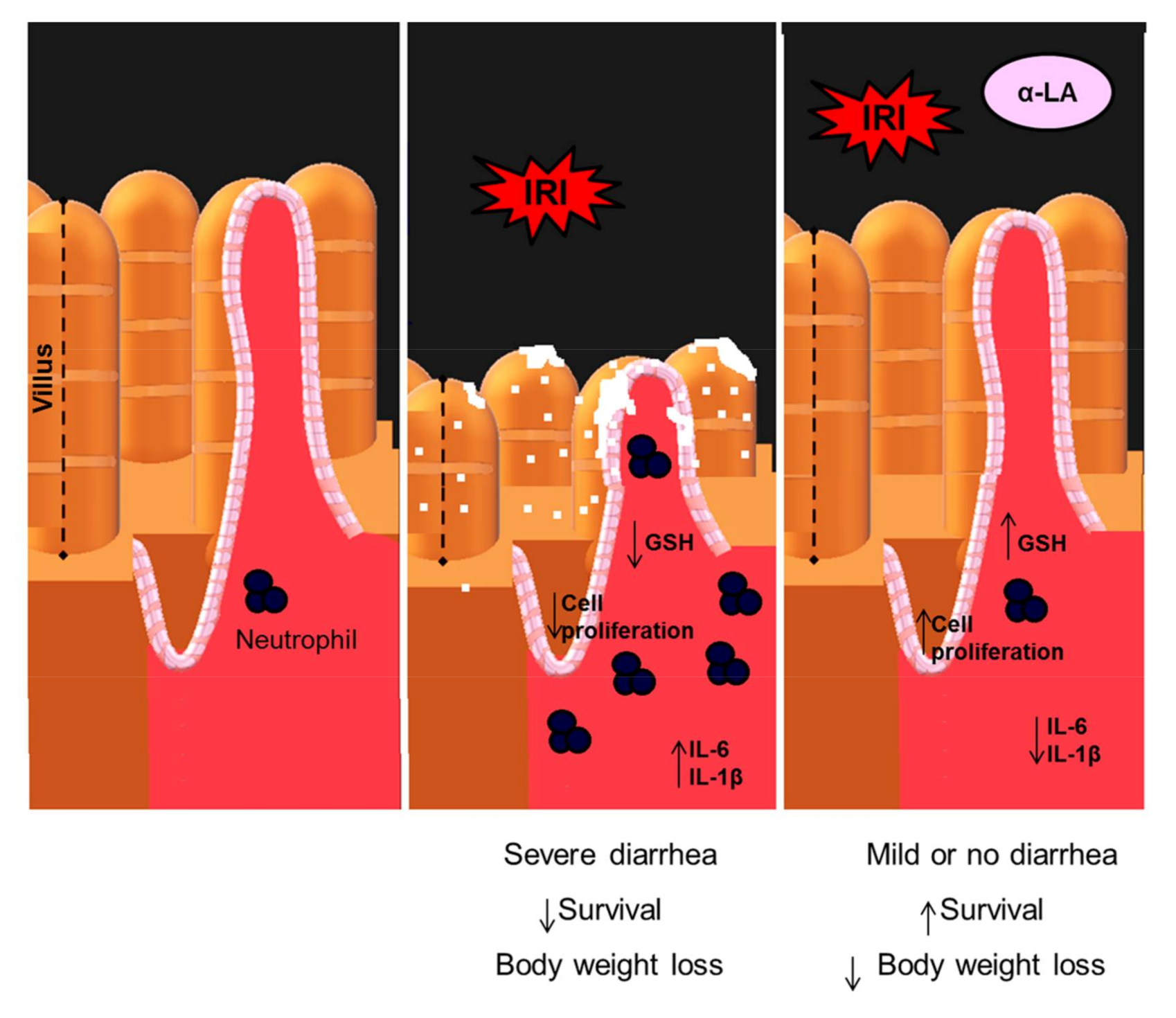 Pharmaceuticals 13 00361 g006 Pharmaceuticals 13 00361 g006