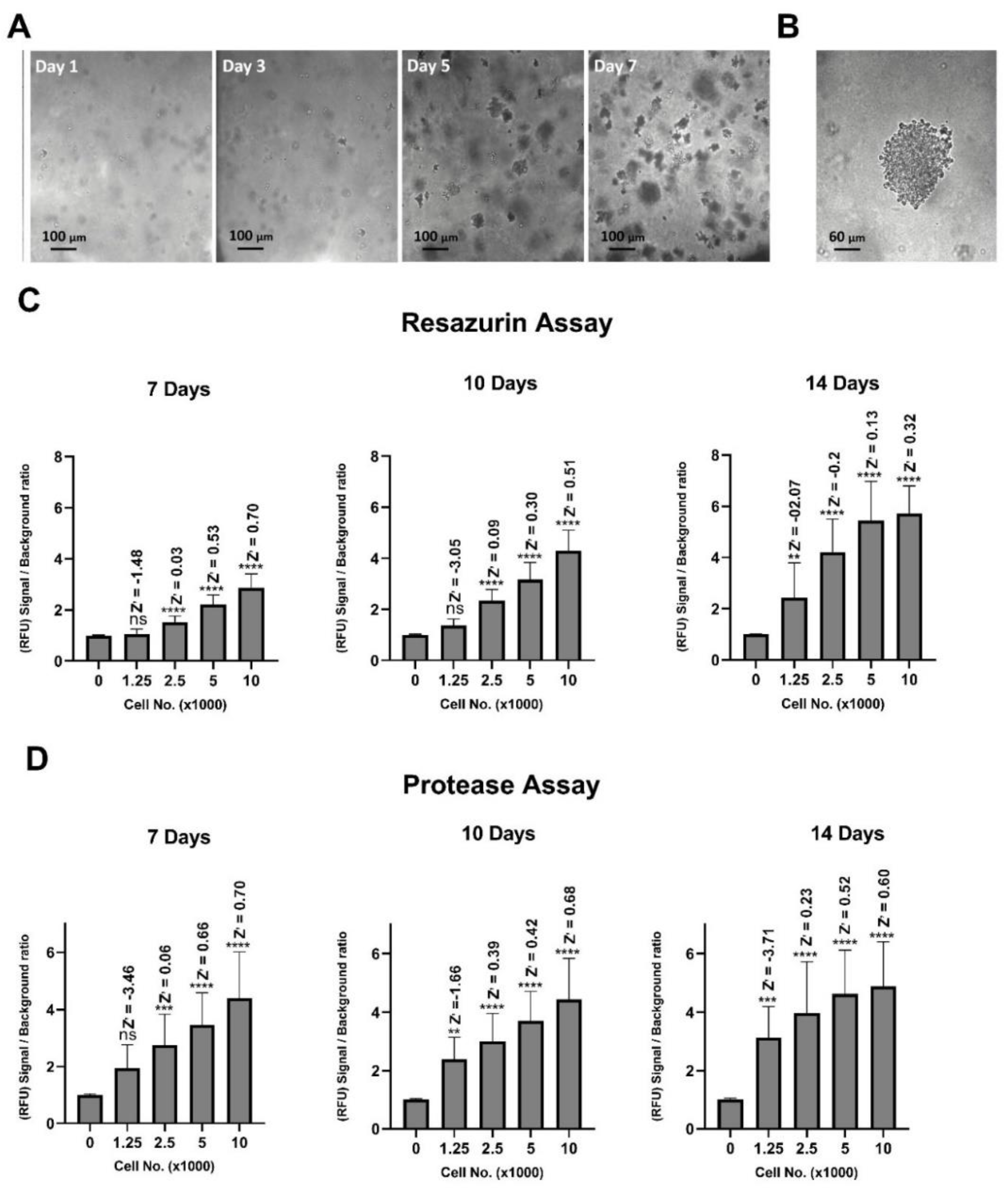 Pharmaceuticals 13 00368 g001