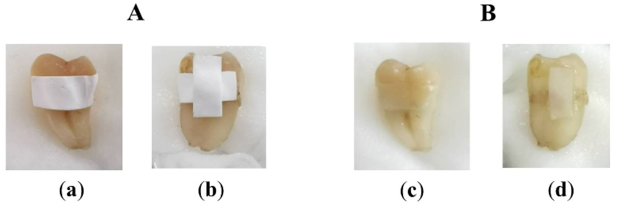 Pharmaceuticals 13 00381 g007 Pharmaceuticals 13 00381 g007