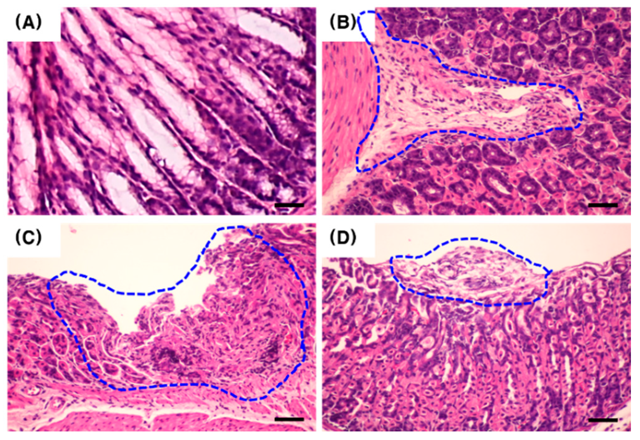 Pharmaceuticals 13 00384 g003
