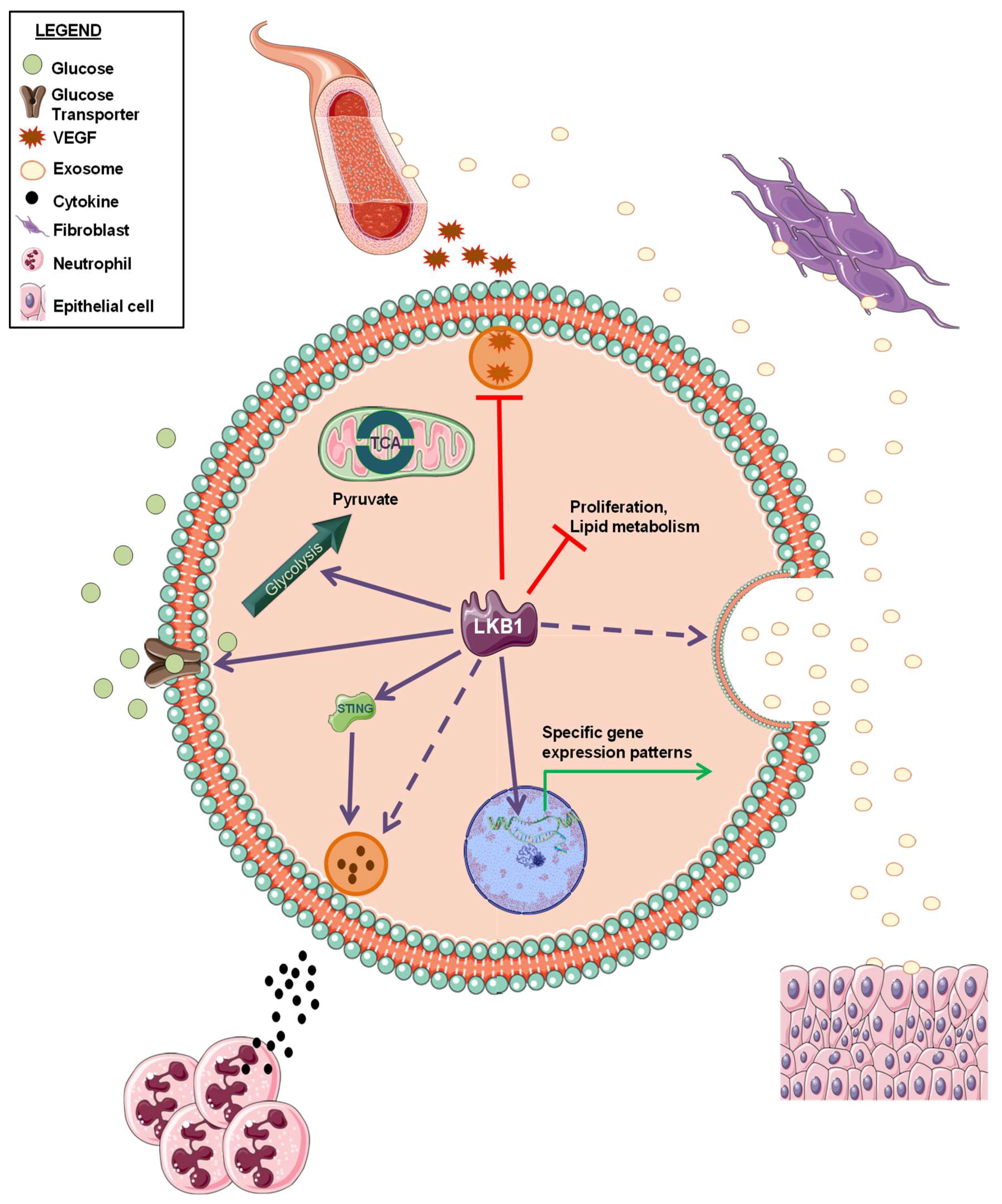 Pharmaceuticals 13 00385 g002 Pharmaceuticals 13 00385 g002