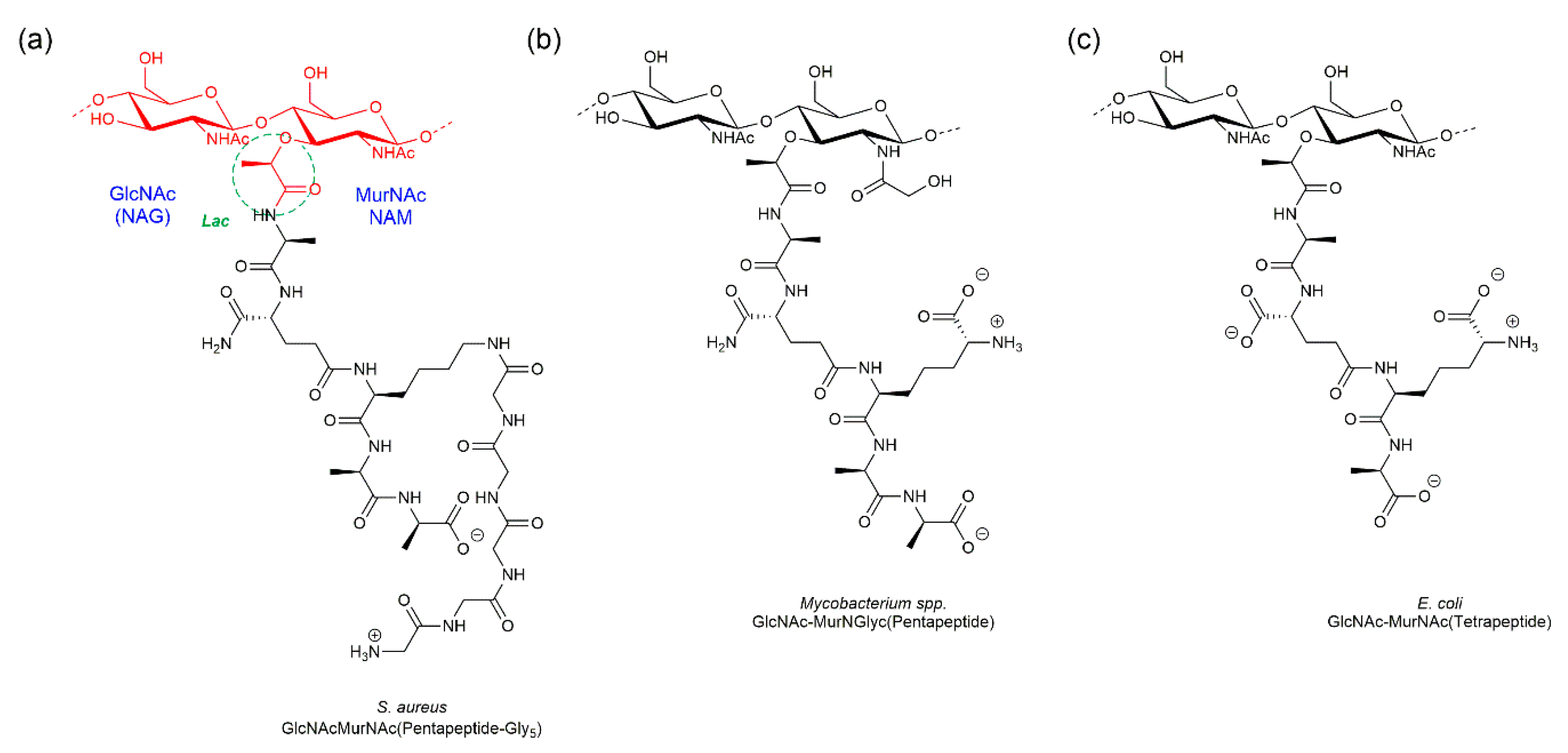 Pharmaceuticals 13 00392 g001