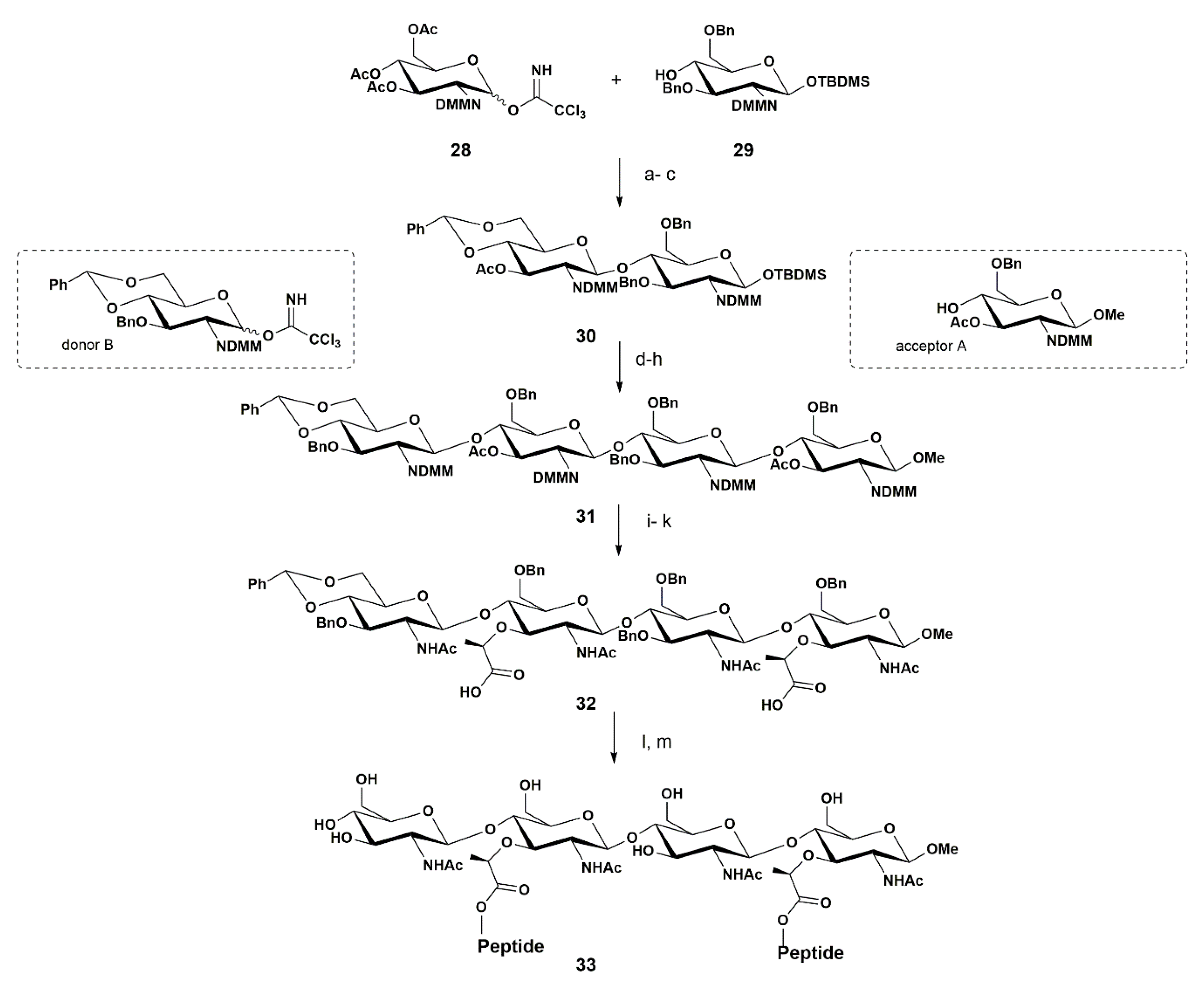 Pharmaceuticals 13 00392 sch005