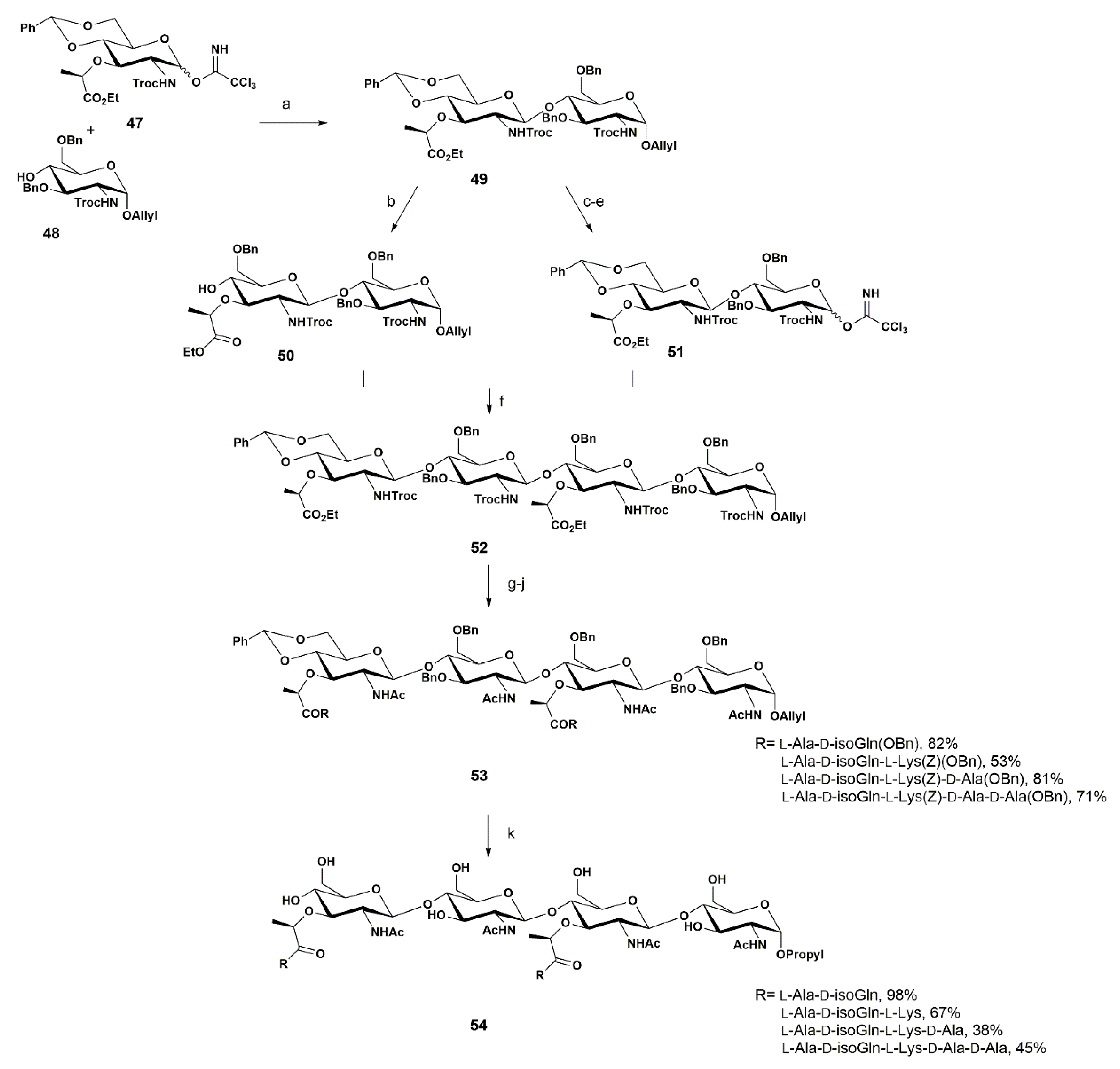Pharmaceuticals Free Full Text Assembly Of Peptidoglycan Fragments A Synthetic Challenge Html