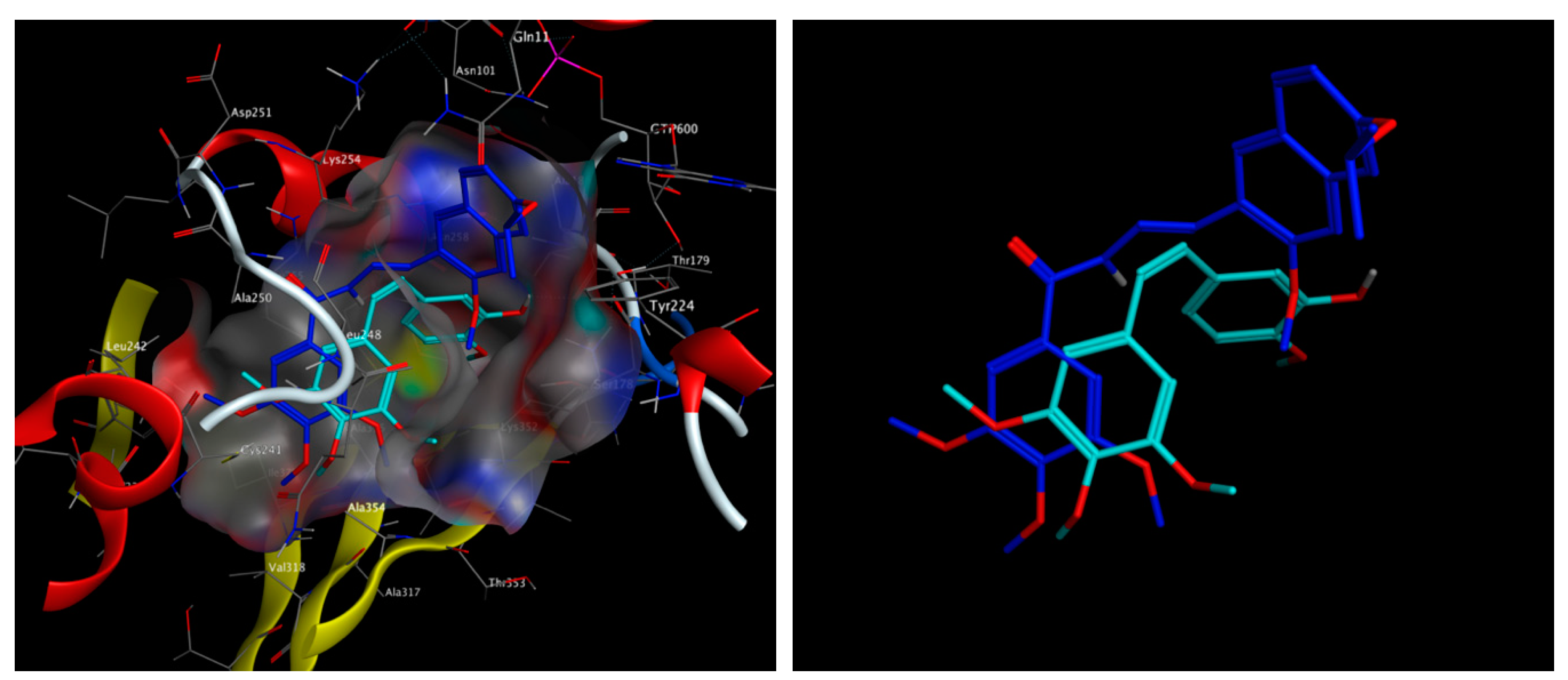 Pharmaceuticals 13 00393 g007