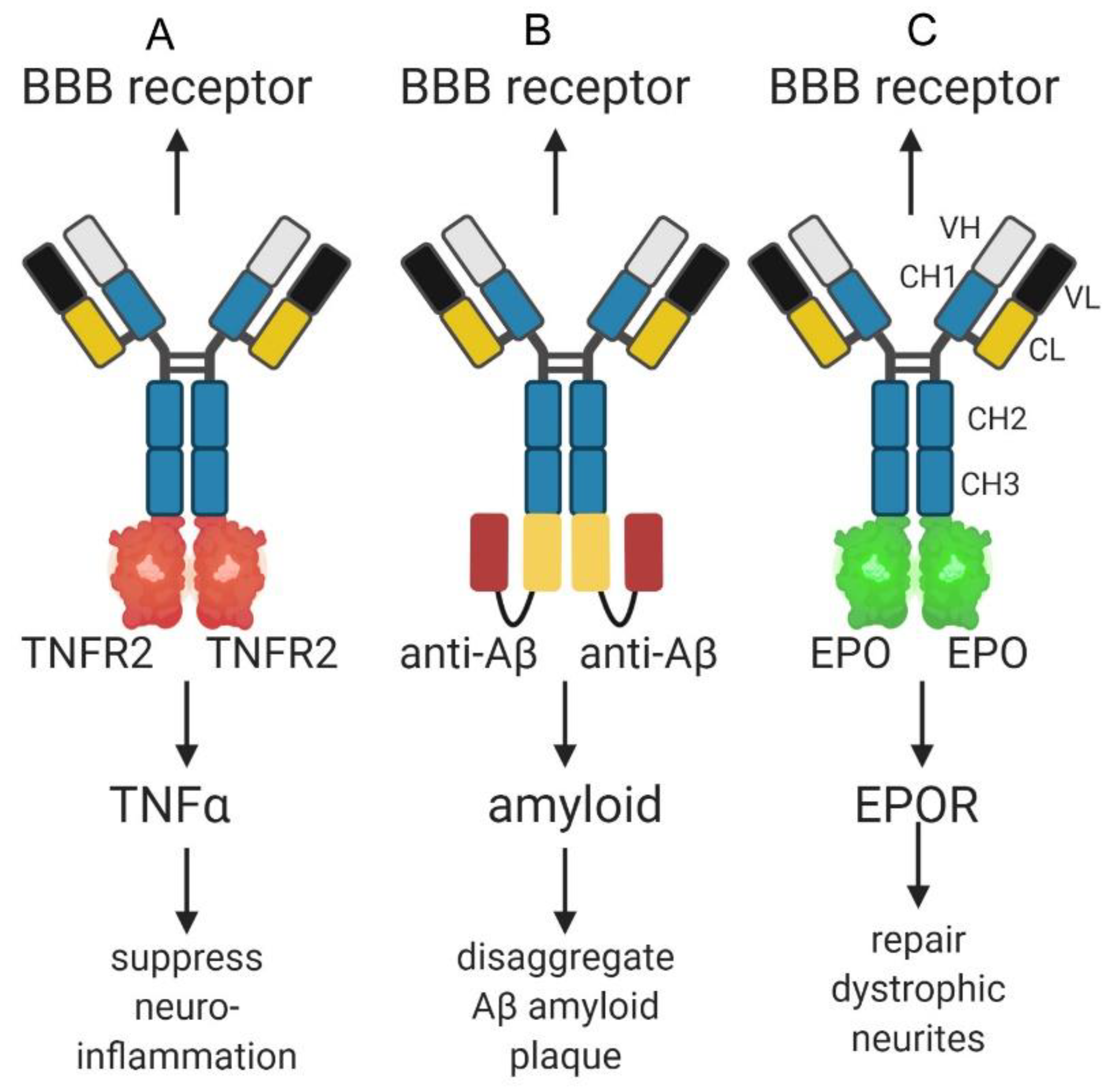 Pharmaceuticals 13 00394 g003 Pharmaceuticals 13 00394 g003