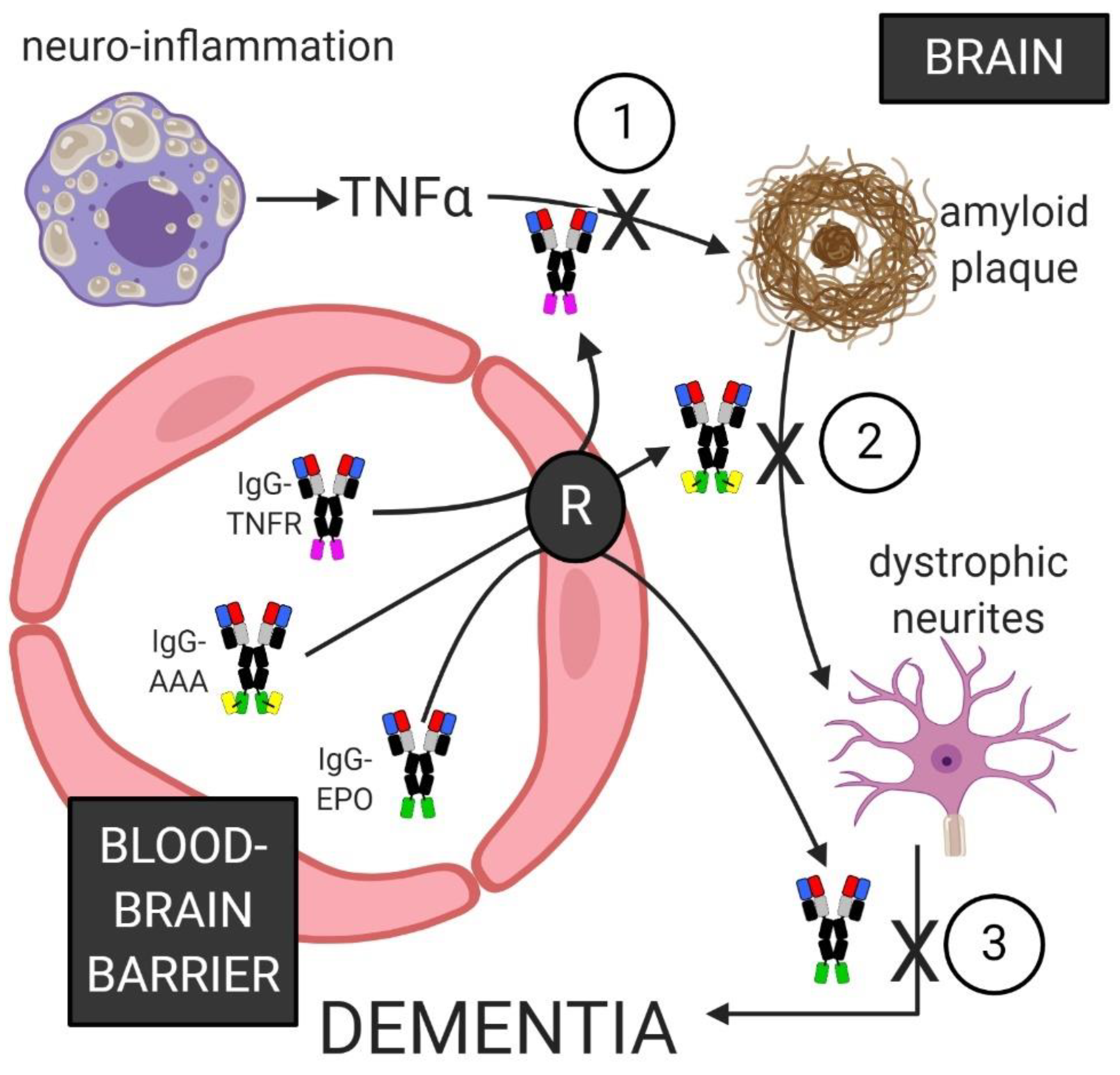 Pharmaceuticals 13 00394 g004 Pharmaceuticals 13 00394 g004