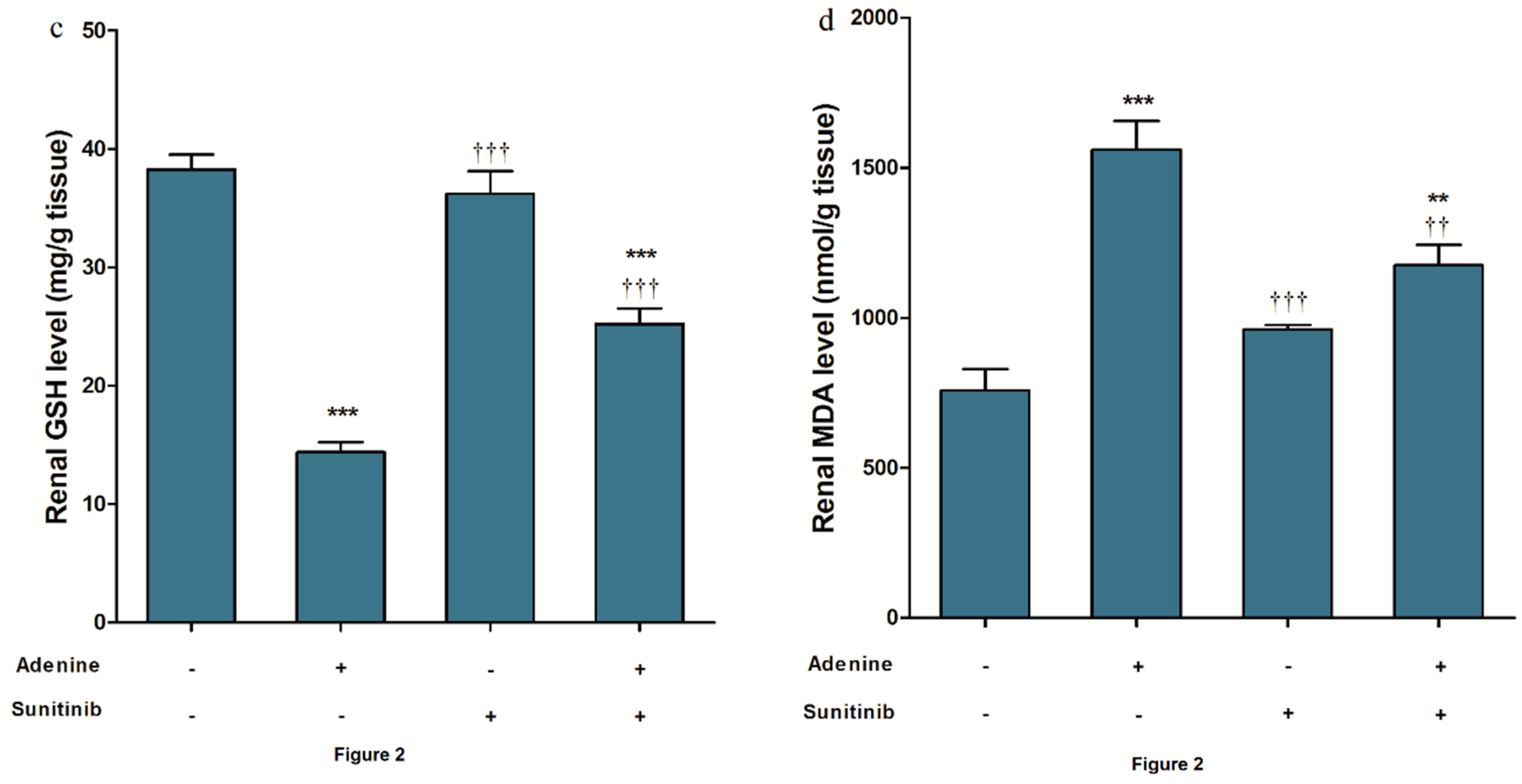 Pharmaceuticals 13 00397 g002b Pharmaceuticals 13 00397 g002b