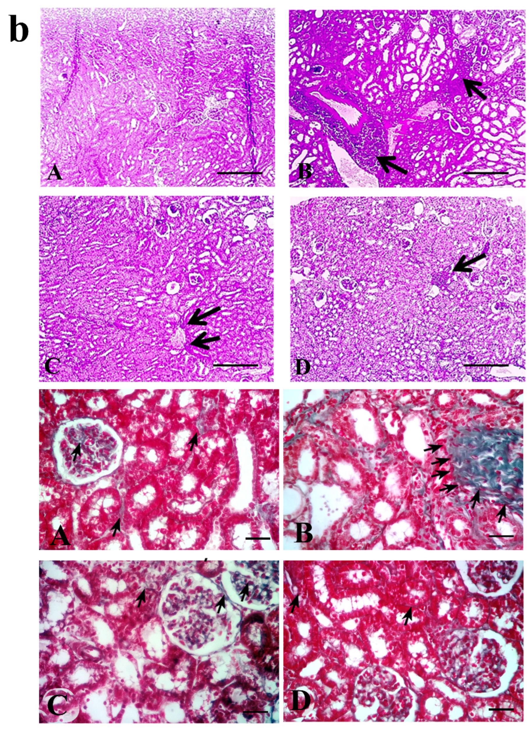 Pharmaceuticals 13 00397 g004b Pharmaceuticals 13 00397 g004b