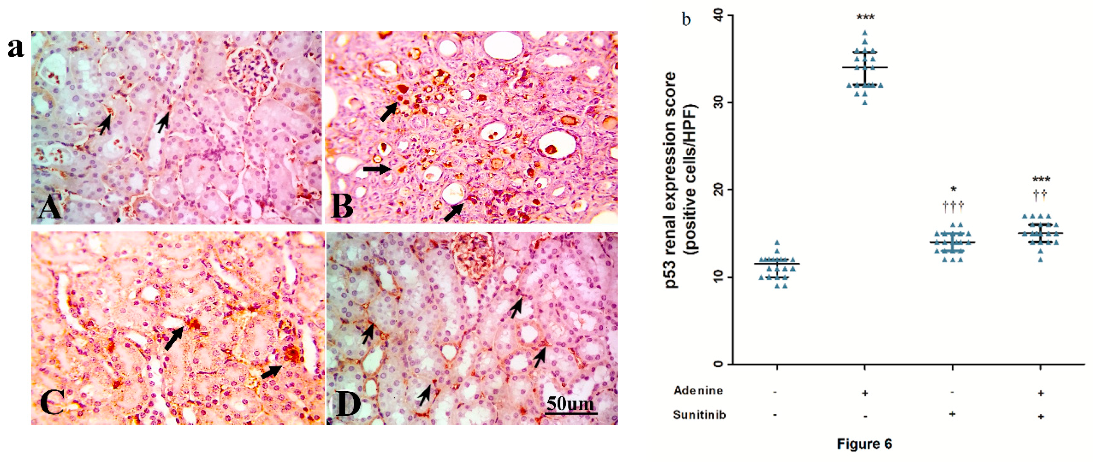Pharmaceuticals 13 00397 g006 Pharmaceuticals 13 00397 g006