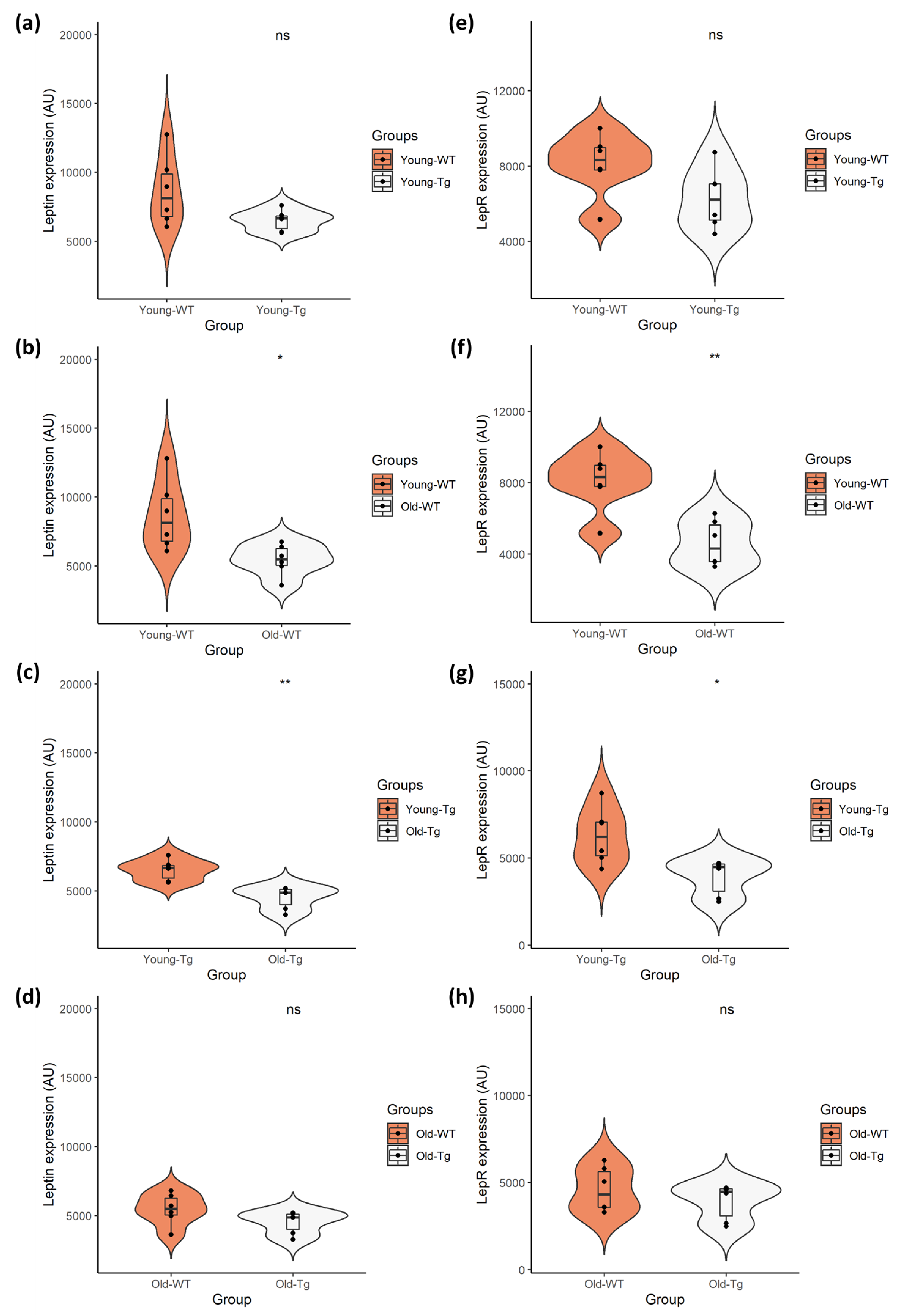Pharmaceuticals 13 00401 g002