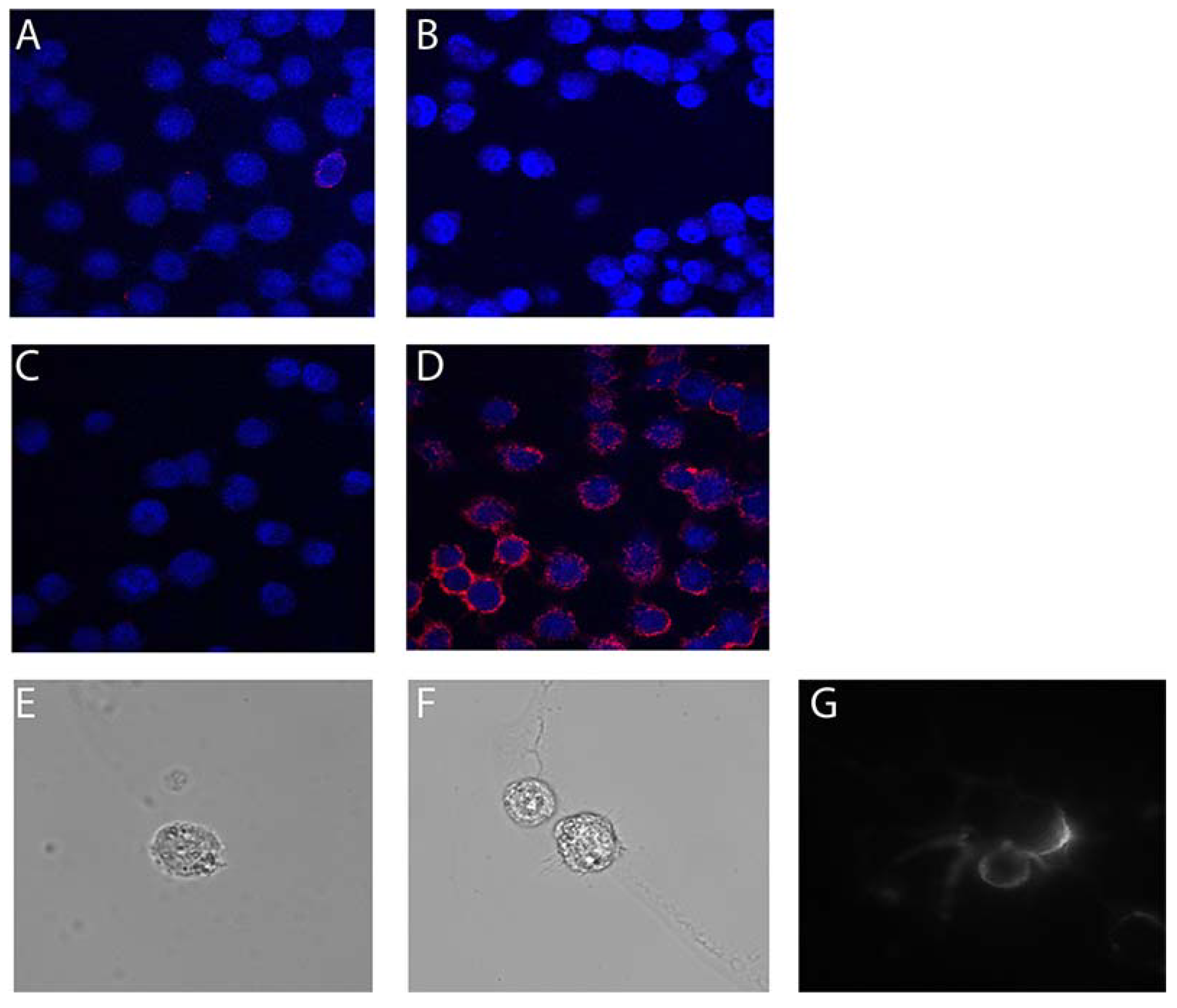 Pharmaceuticals 13 00403 g003 Pharmaceuticals 13 00403 g003