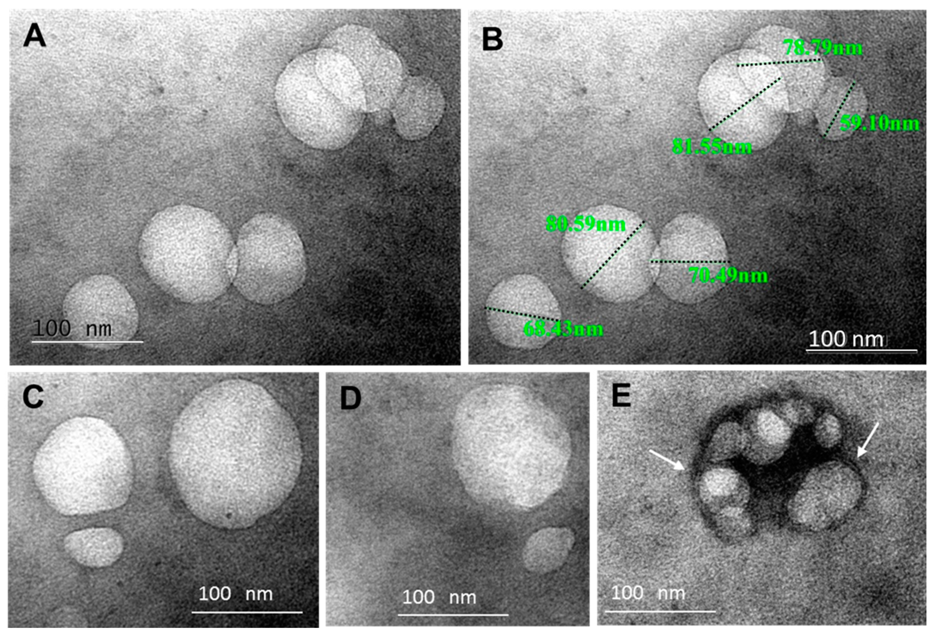 Pharmaceuticals 13 00415 g001 Pharmaceuticals 13 00415 g001