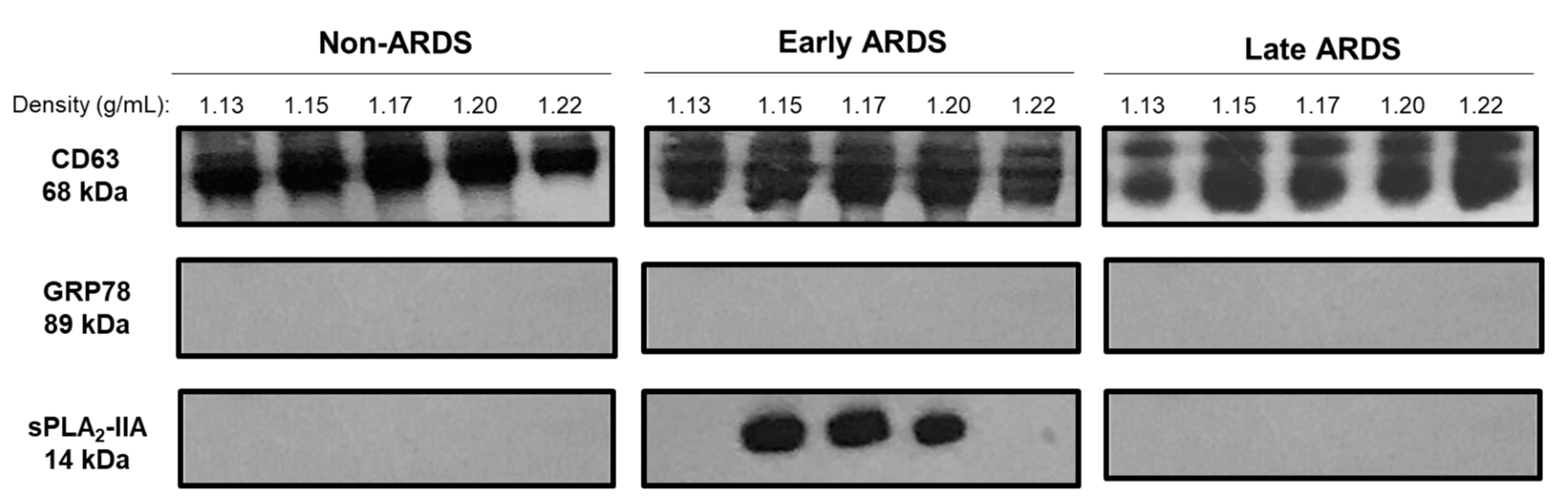 Pharmaceuticals 13 00415 g002 Pharmaceuticals 13 00415 g002