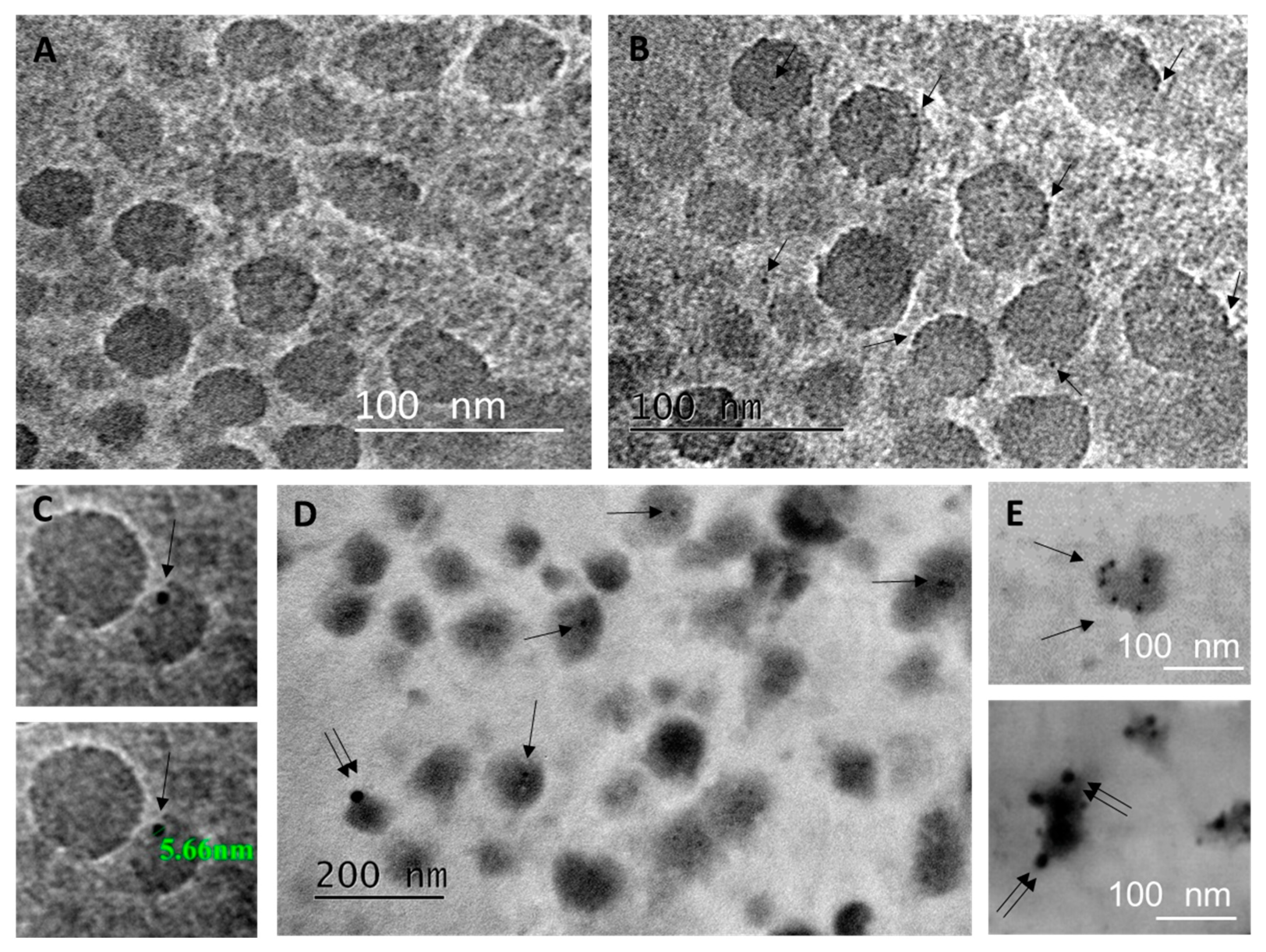 Pharmaceuticals 13 00415 g004 Pharmaceuticals 13 00415 g004