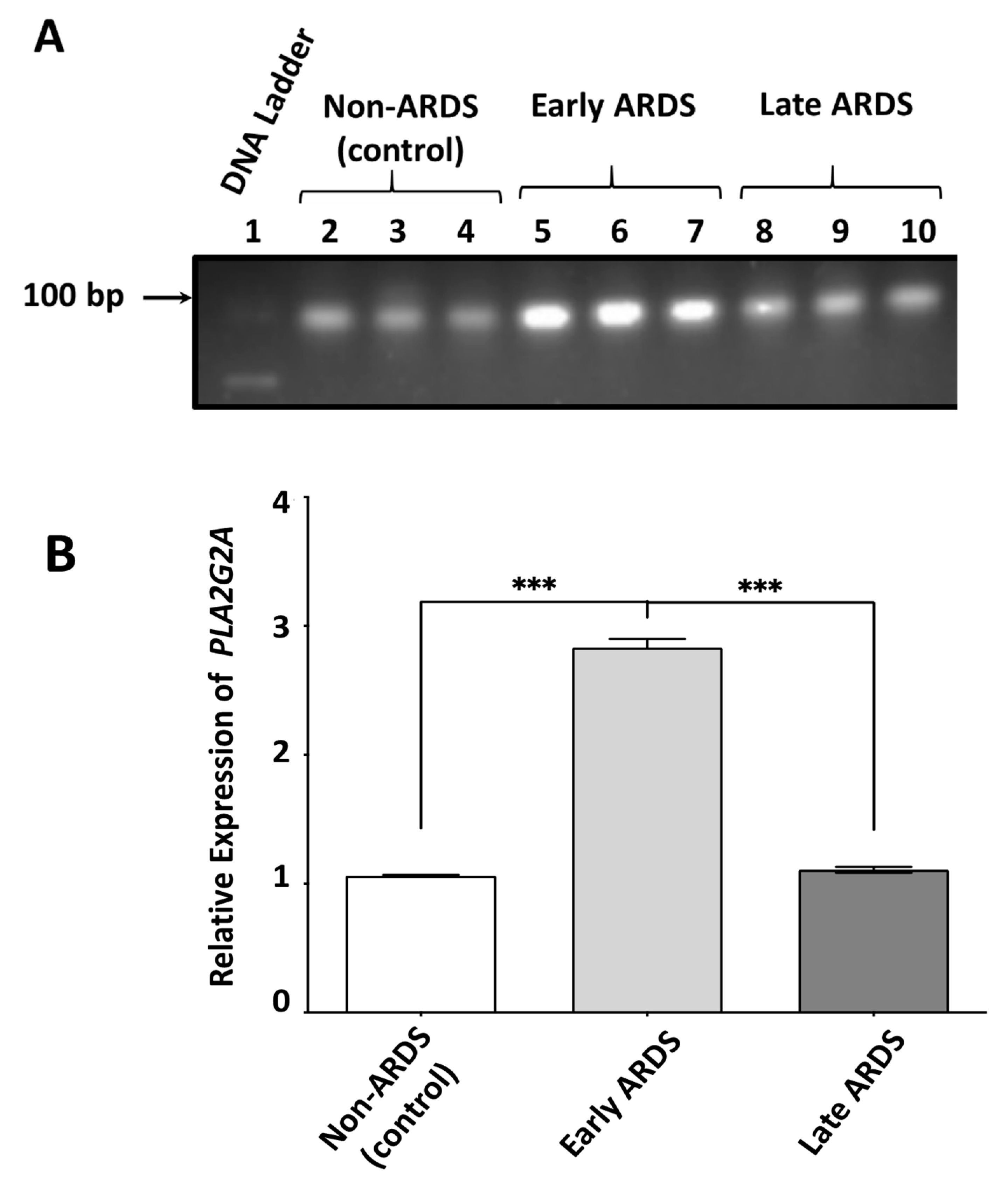 Pharmaceuticals 13 00415 g005 Pharmaceuticals 13 00415 g005
