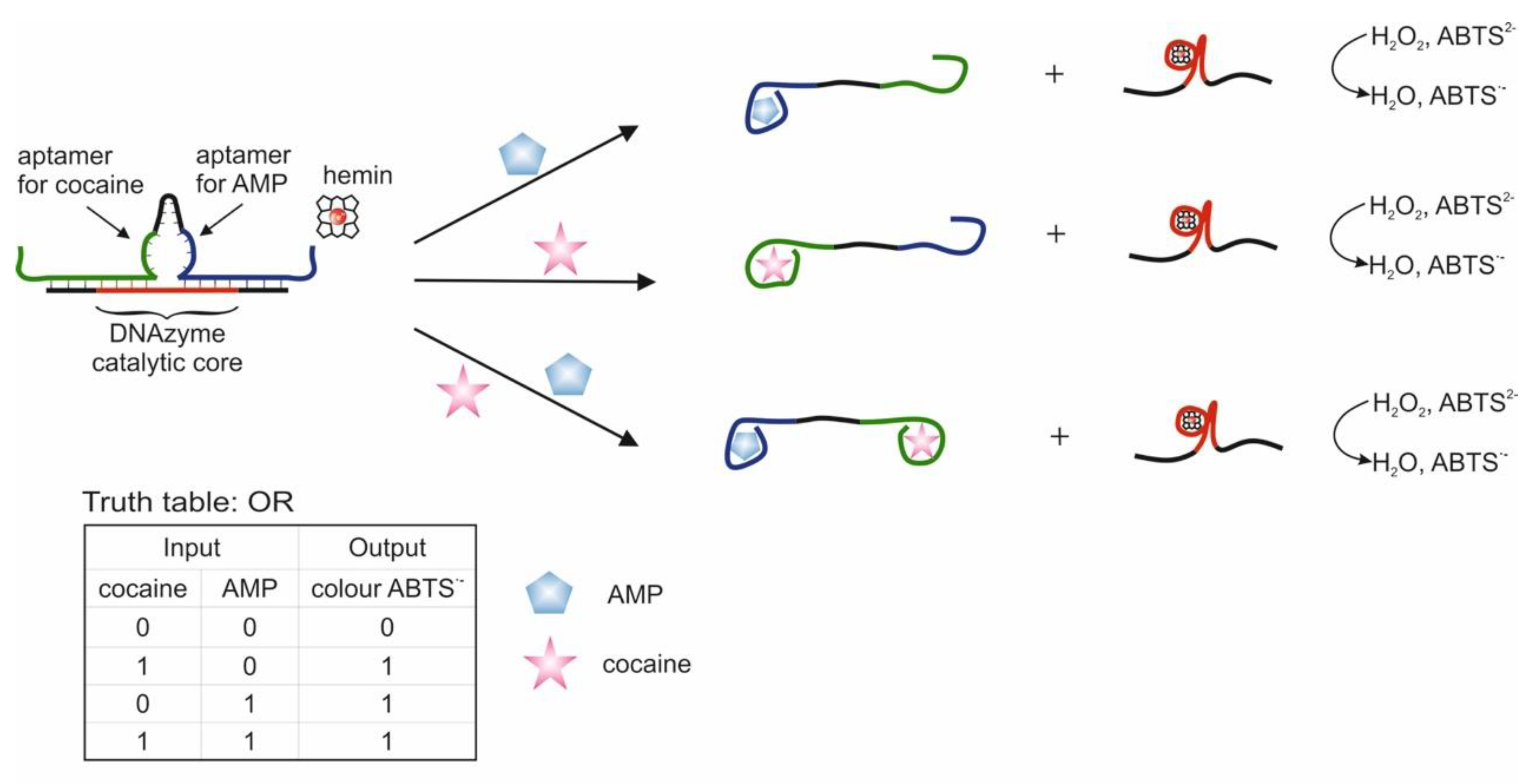 Pharmaceuticals | Free Full-Text | Logic Gates Based on DNA Aptamers