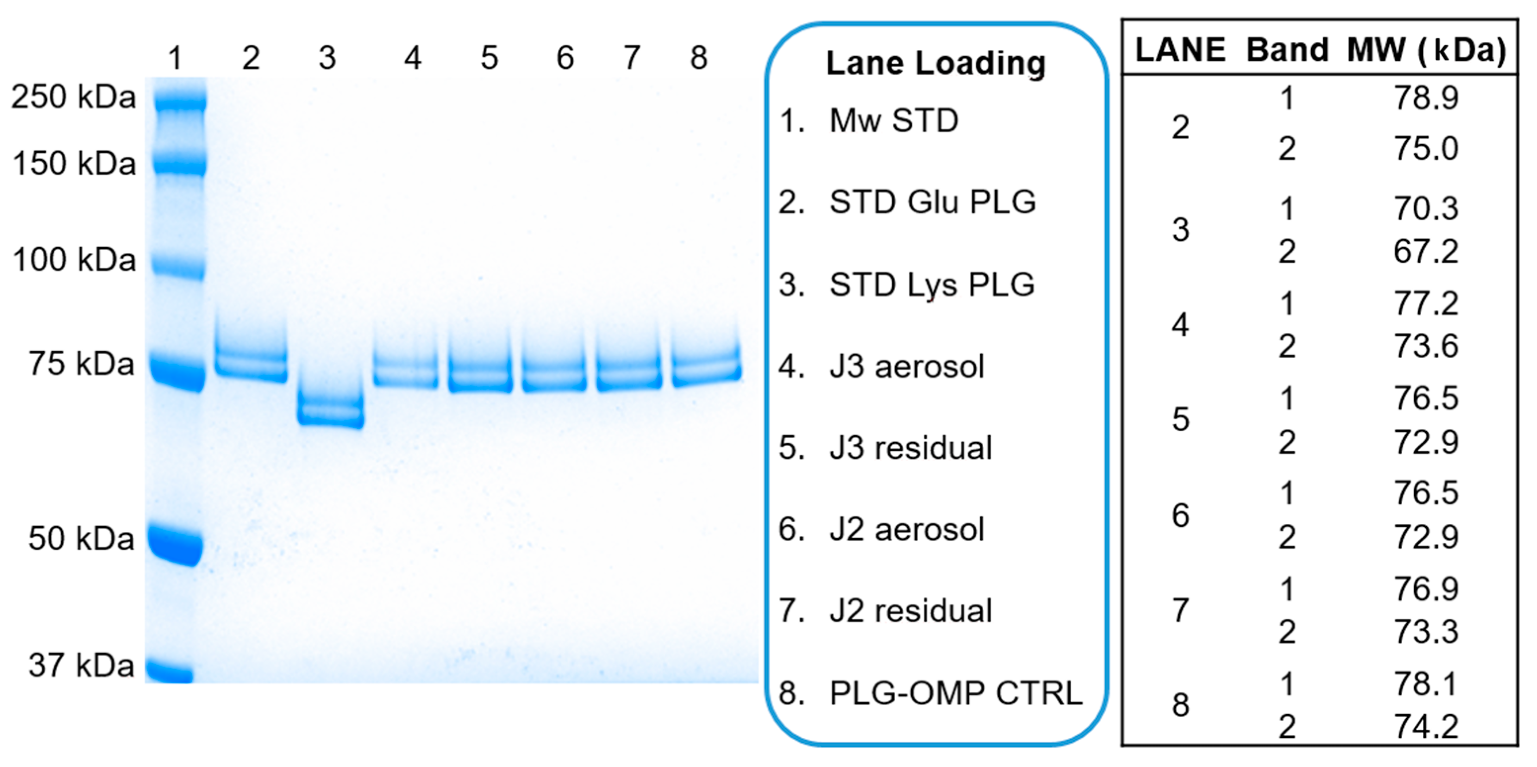 Pharmaceuticals Free Full Text Repurposing Of Plasminogen An Orphan Medicinal Product Suitable For Sars Cov 2 Inhalable Therapeutics Html