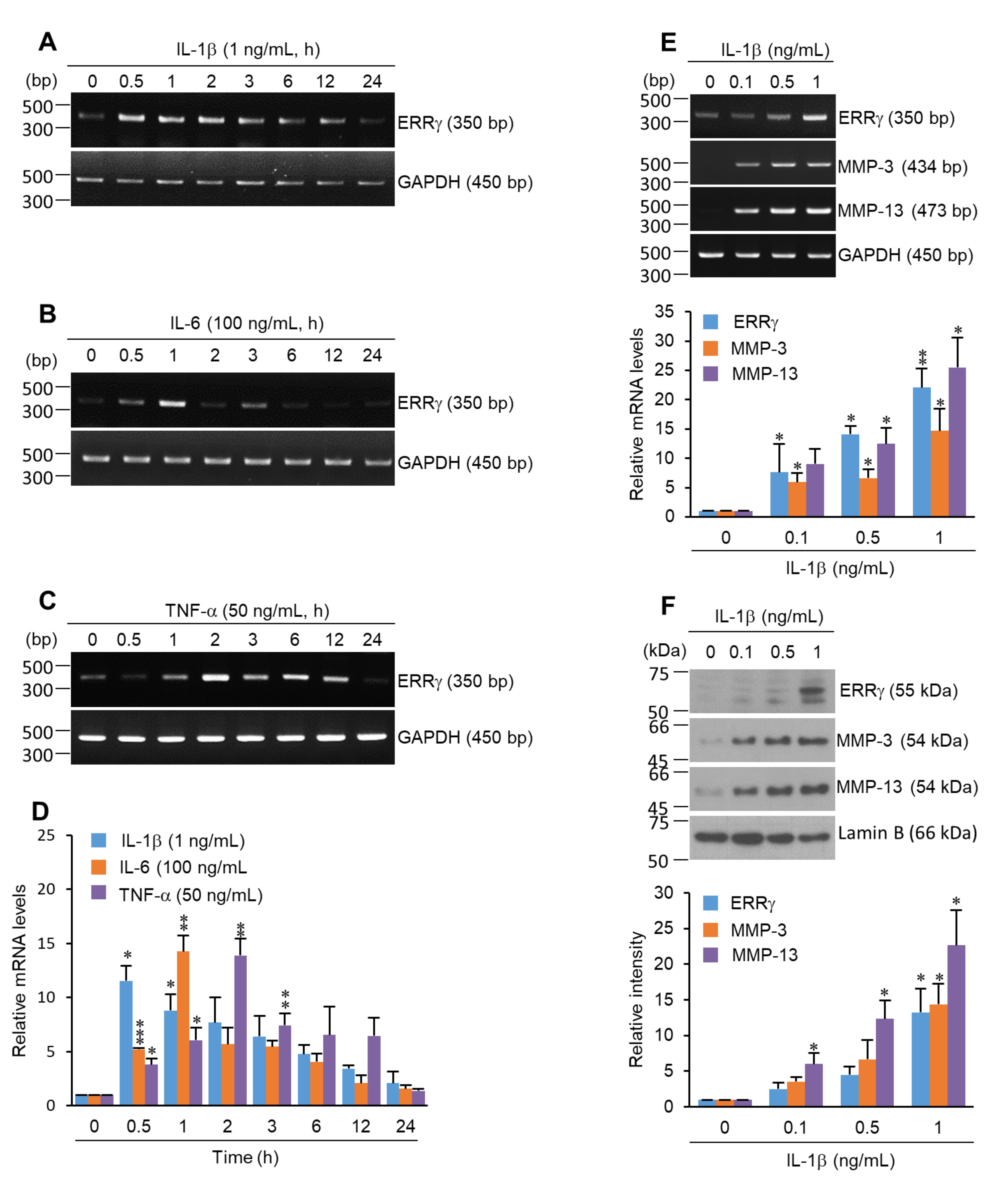 Pharmaceuticals 13 00429 g001