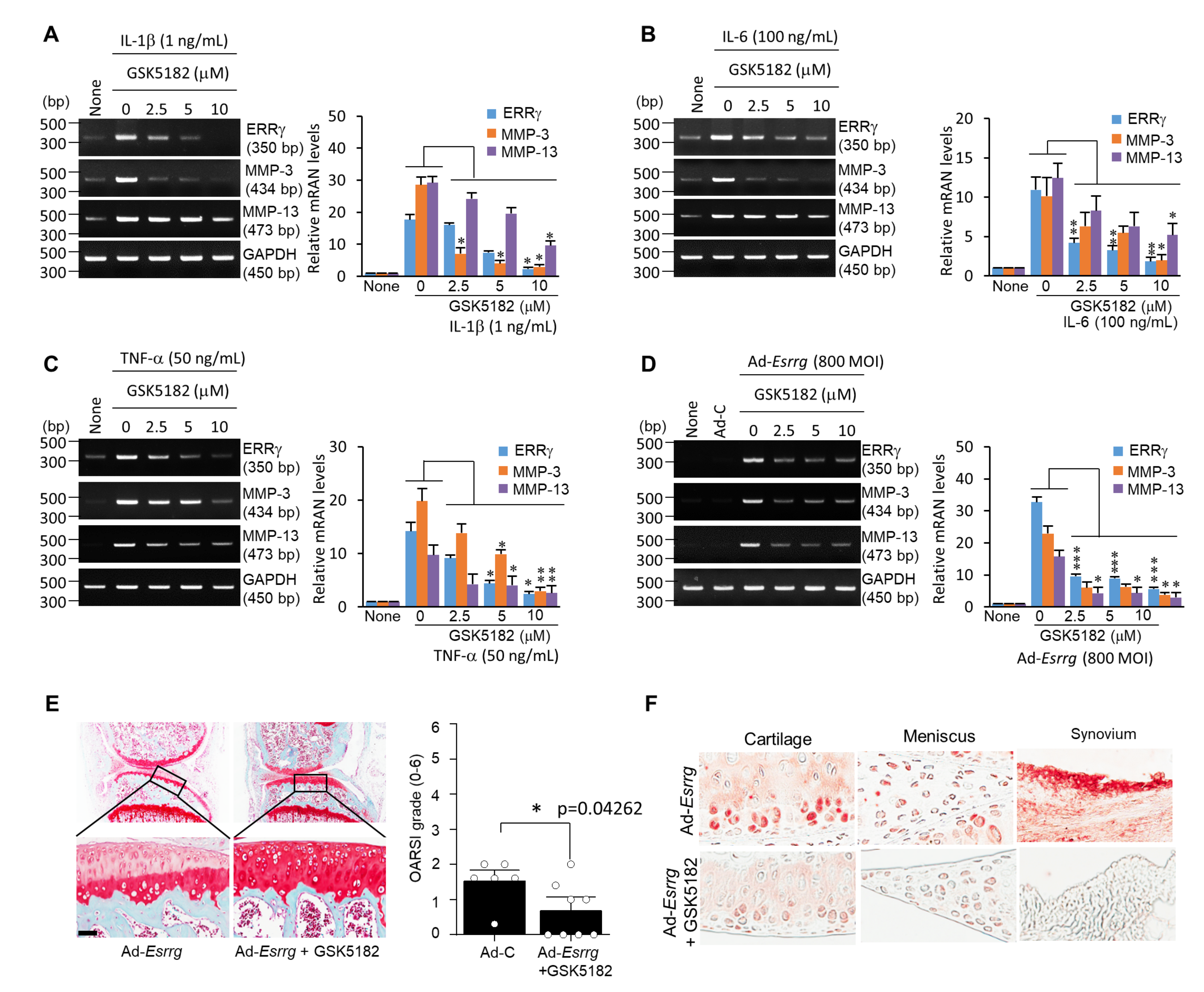 Pharmaceuticals 13 00429 g004