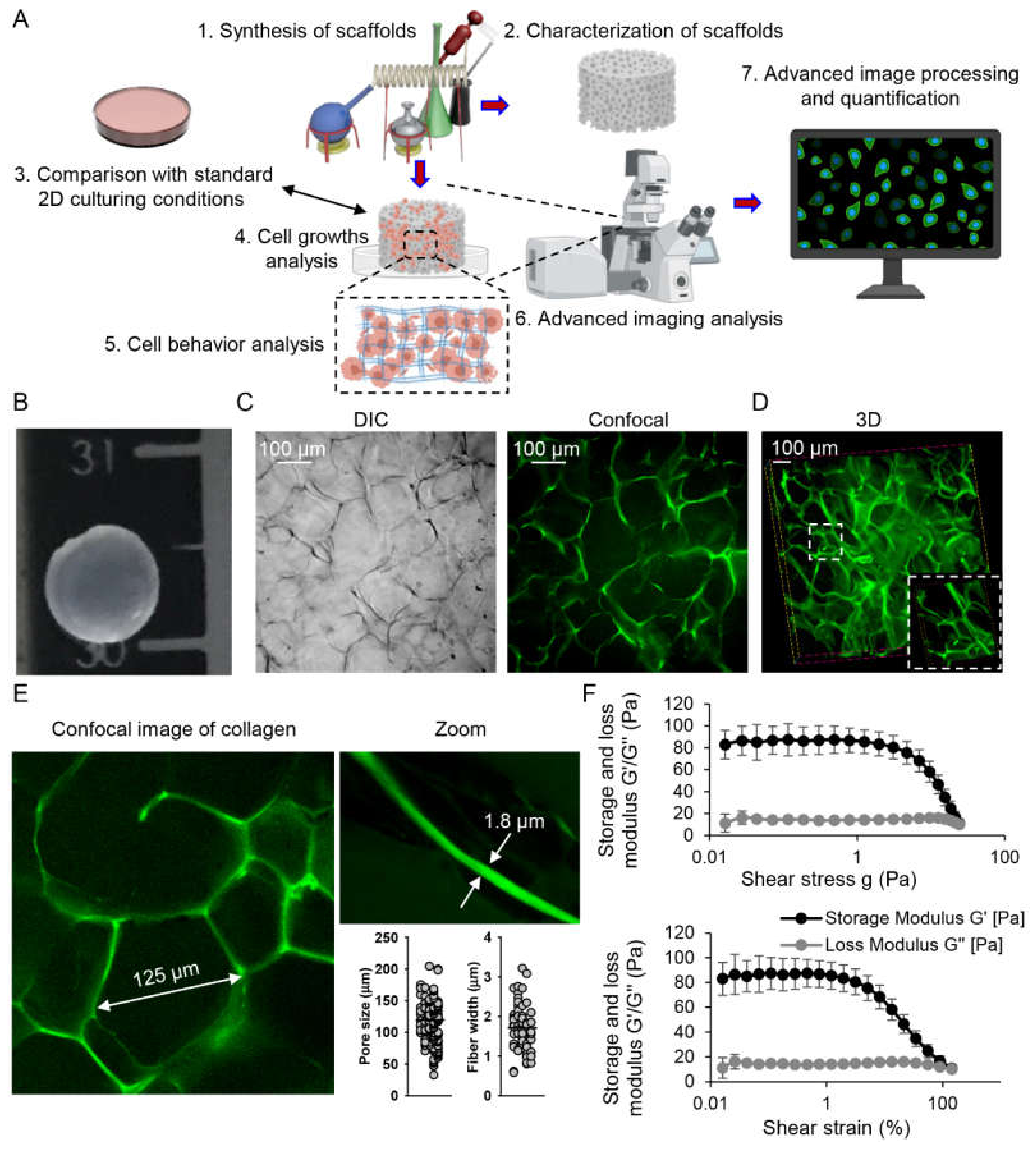 Pharmaceuticals 13 00430 g001 Pharmaceuticals 13 00430 g001