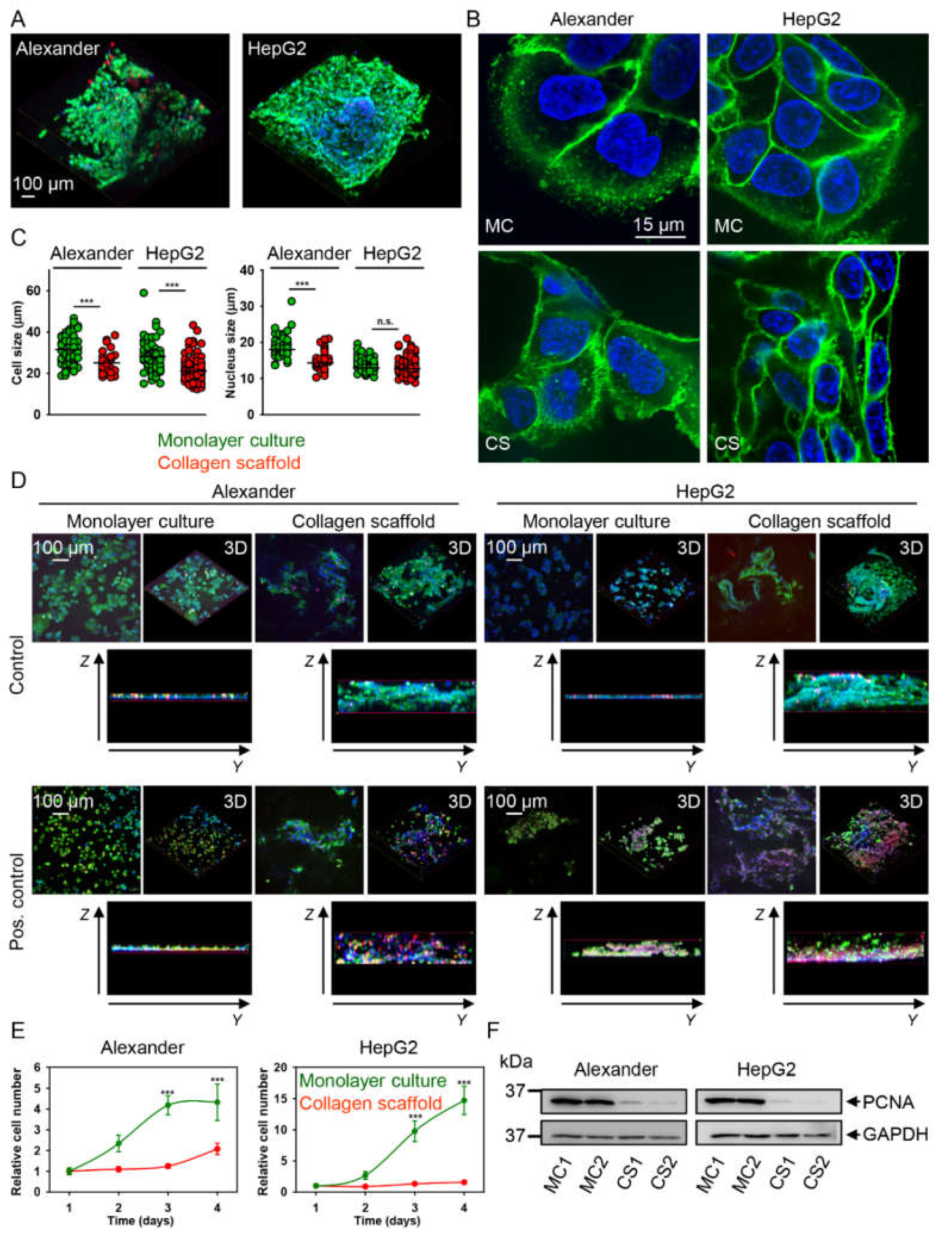 Pharmaceuticals 13 00430 g002 Pharmaceuticals 13 00430 g002