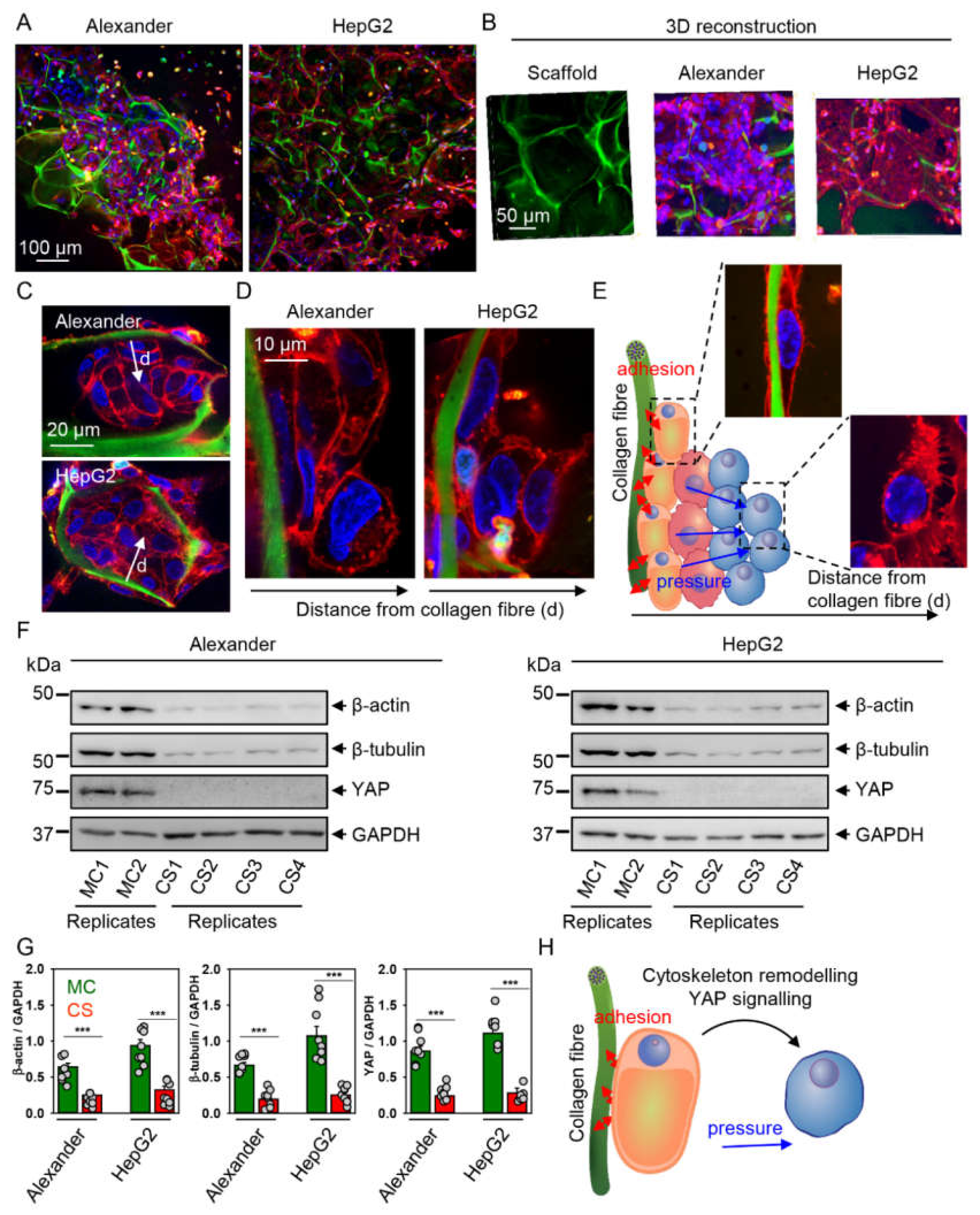 Pharmaceuticals 13 00430 g003 Pharmaceuticals 13 00430 g003