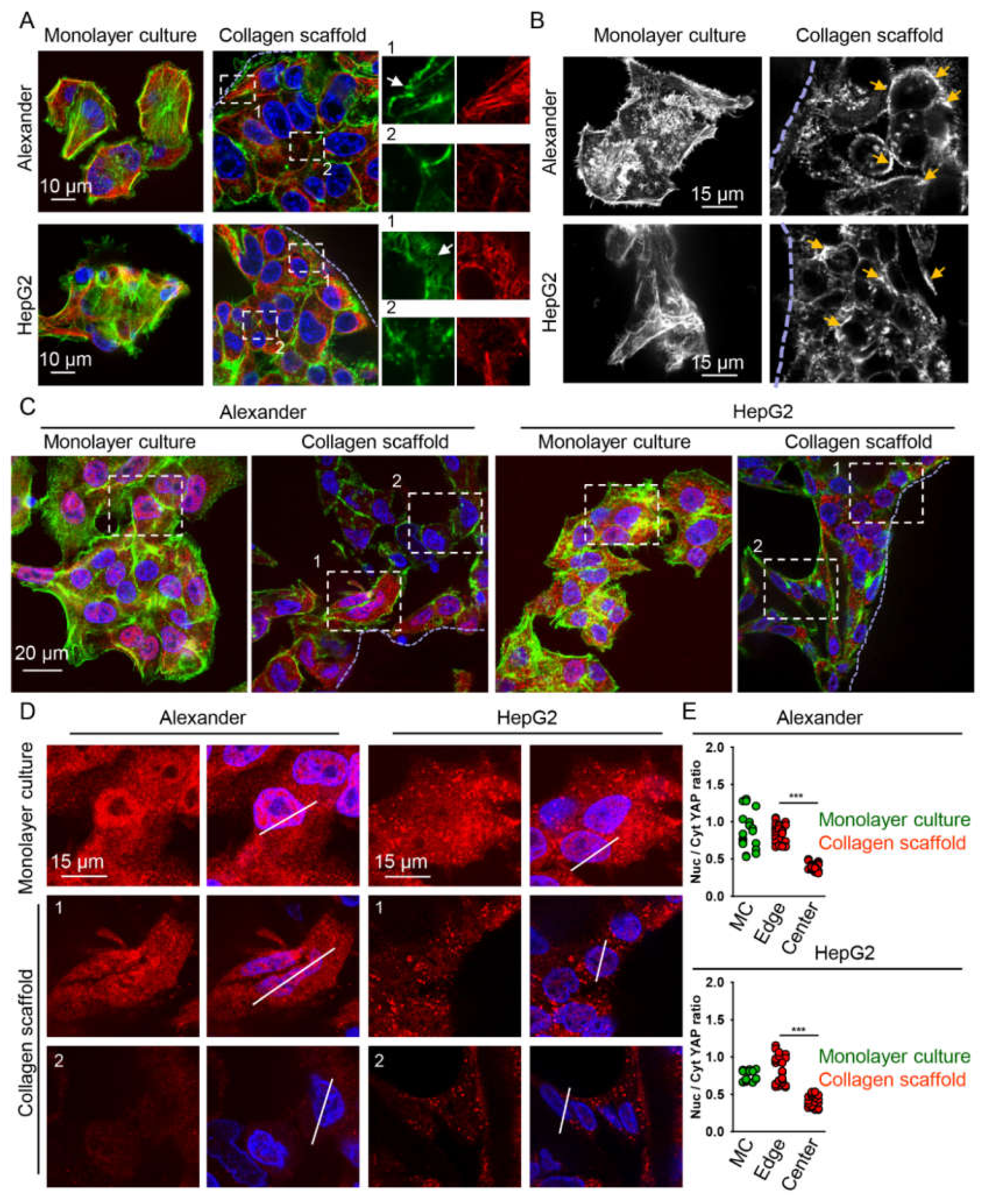 Pharmaceuticals 13 00430 g004 Pharmaceuticals 13 00430 g004