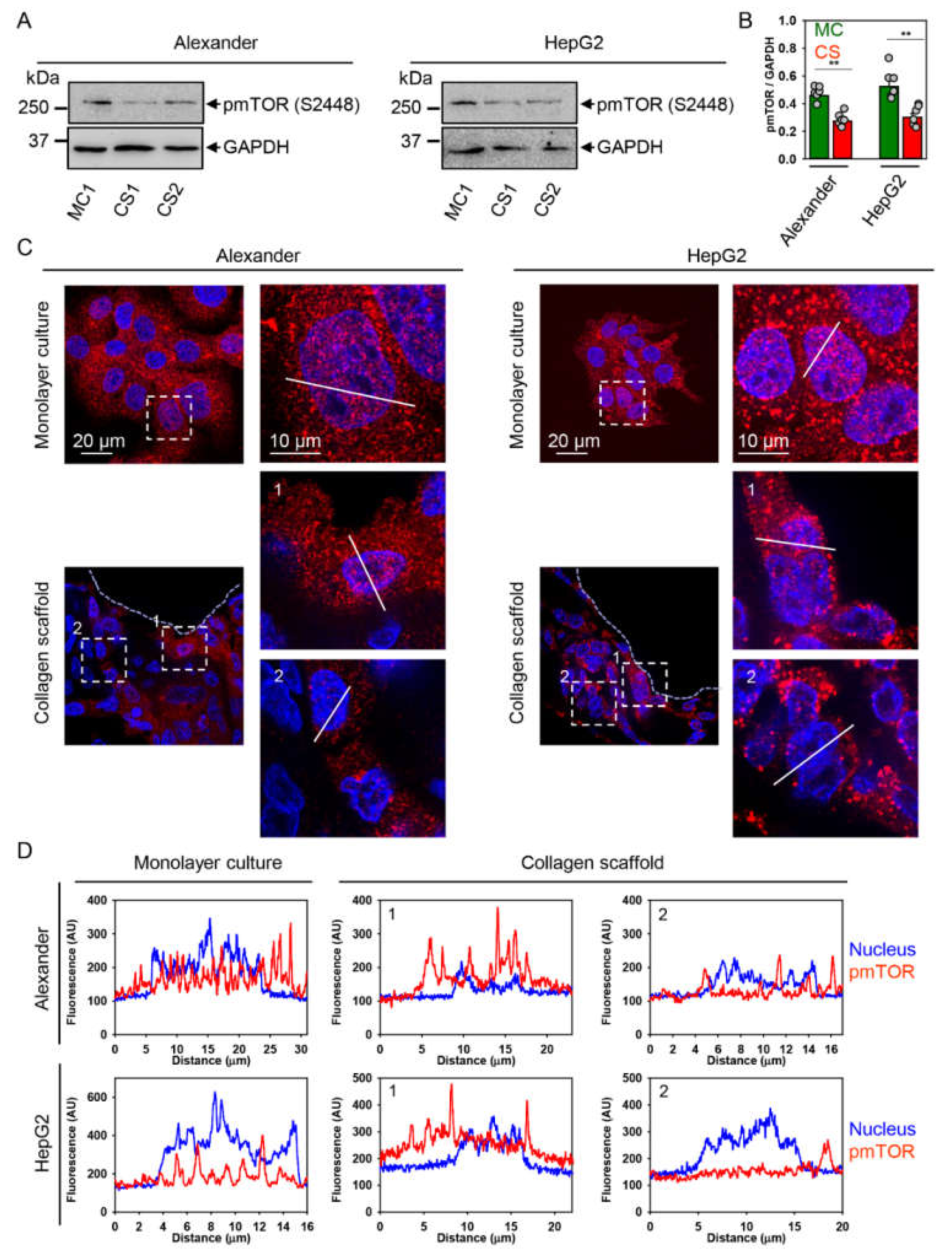 Pharmaceuticals 13 00430 g005 Pharmaceuticals 13 00430 g005