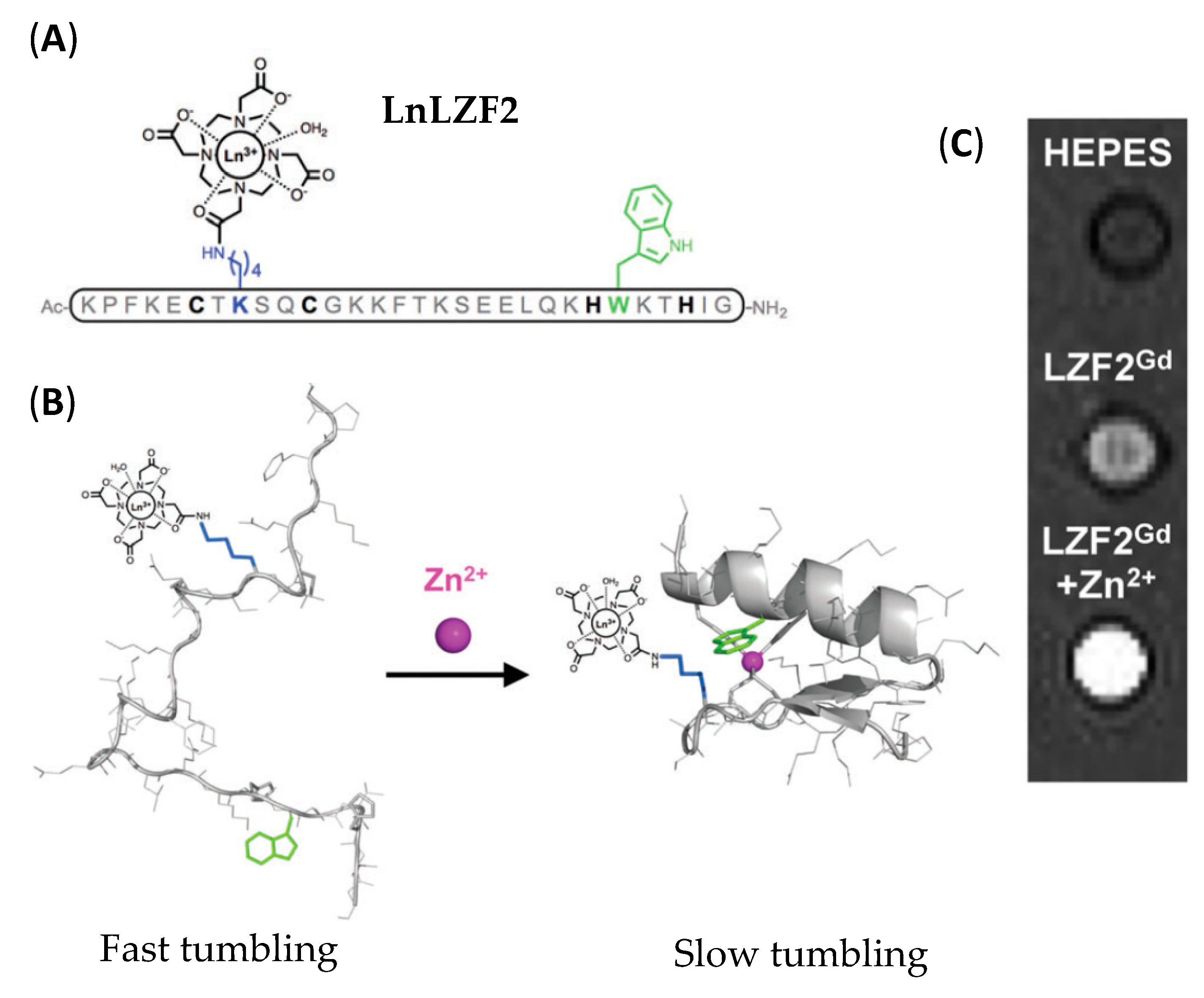 Pharmaceuticals 13 00436 g008 Pharmaceuticals 13 00436 g008