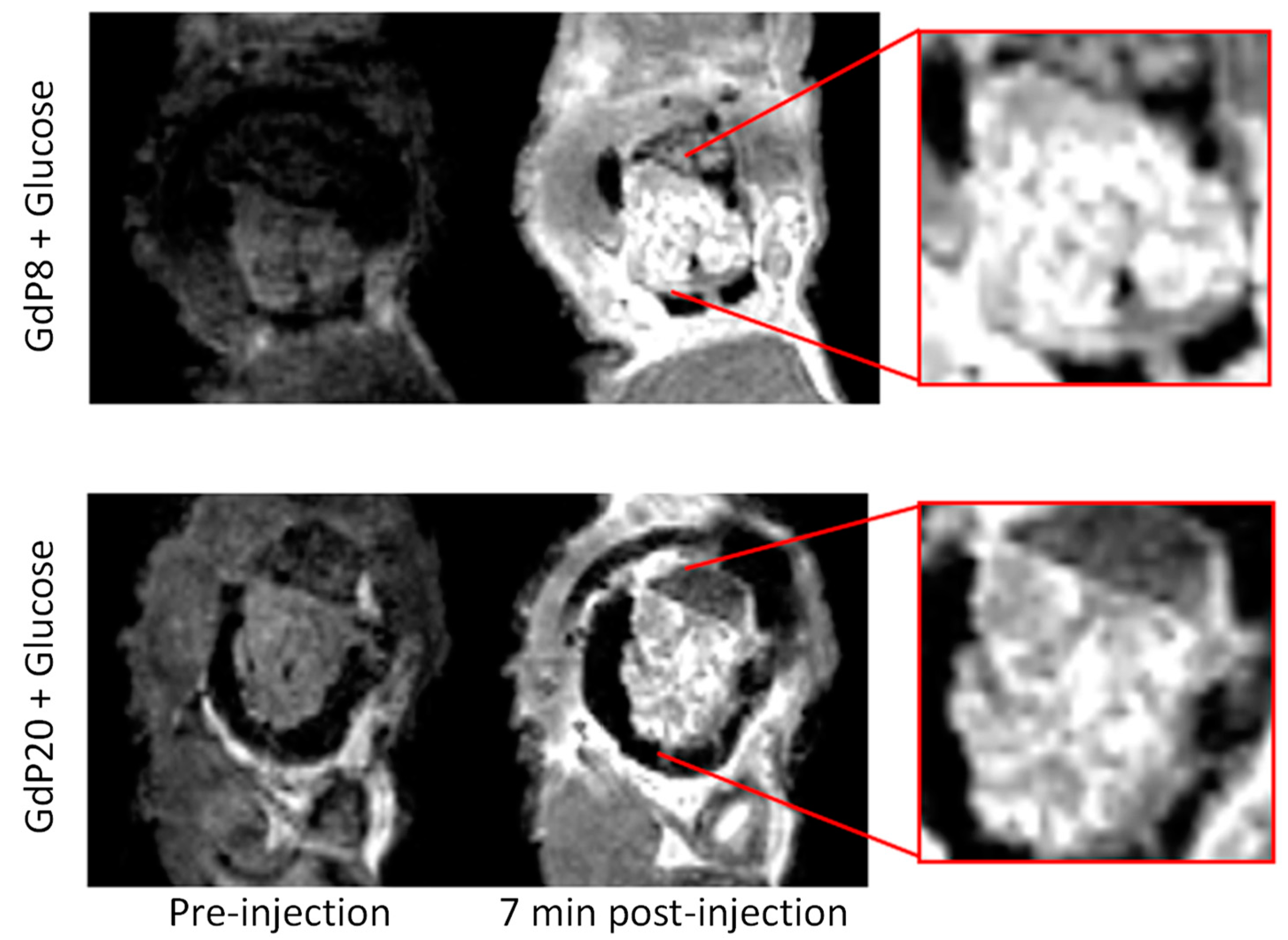 Pharmaceuticals 13 00436 g012 Pharmaceuticals 13 00436 g012