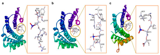 Pharmaceuticals 13 00441 g001 550