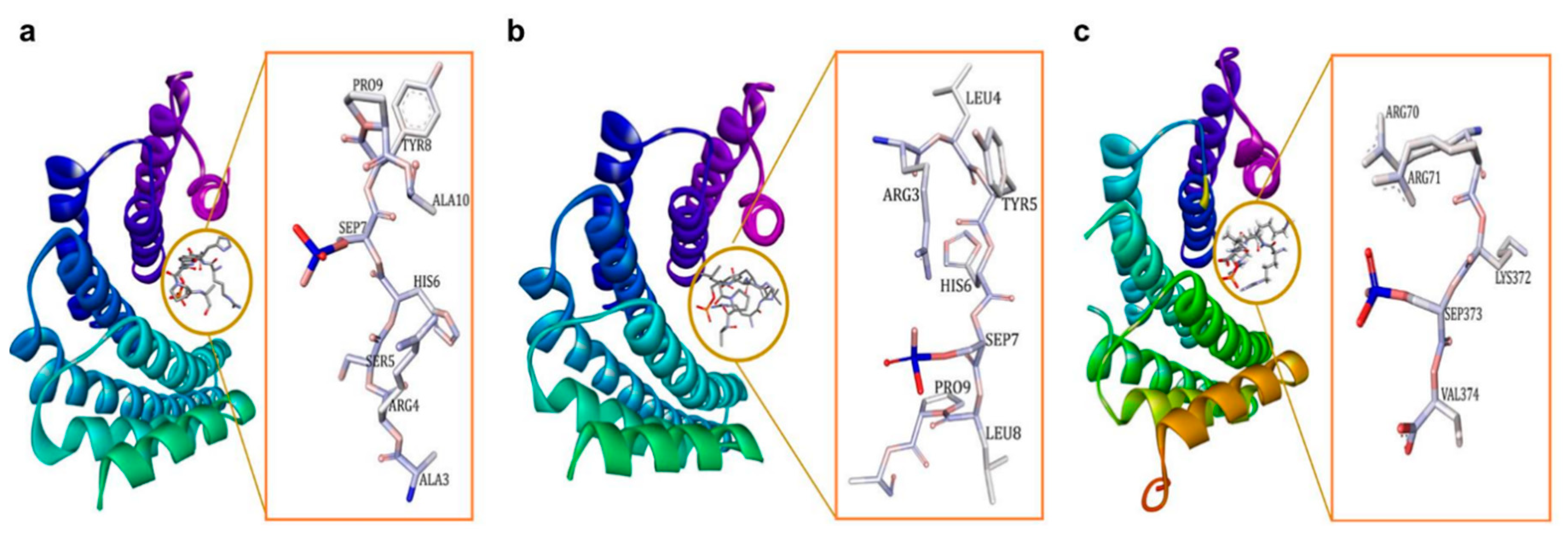 Pharmaceuticals 13 00441 g001 Pharmaceuticals 13 00441 g001