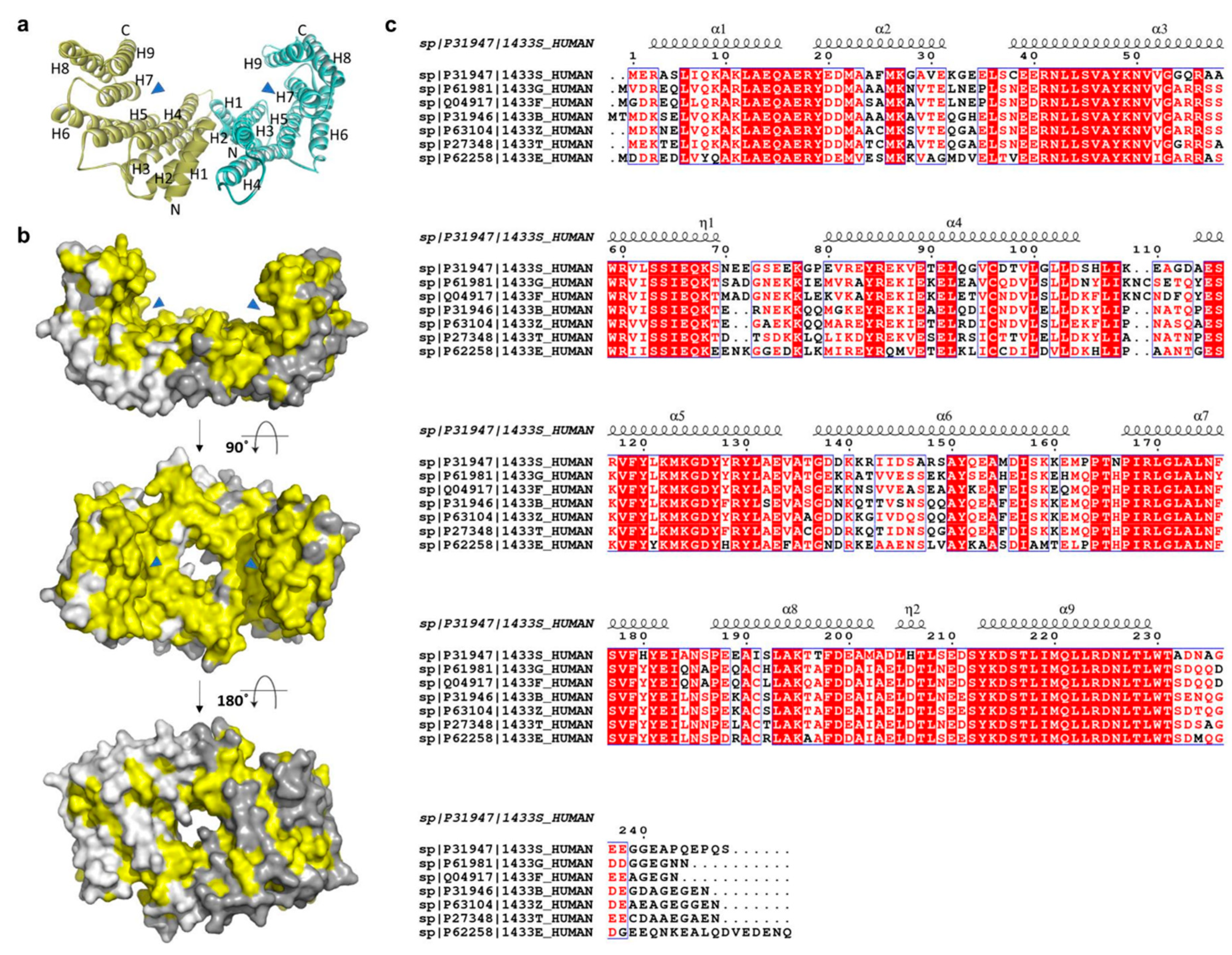 Pharmaceuticals 13 00441 g002 Pharmaceuticals 13 00441 g002