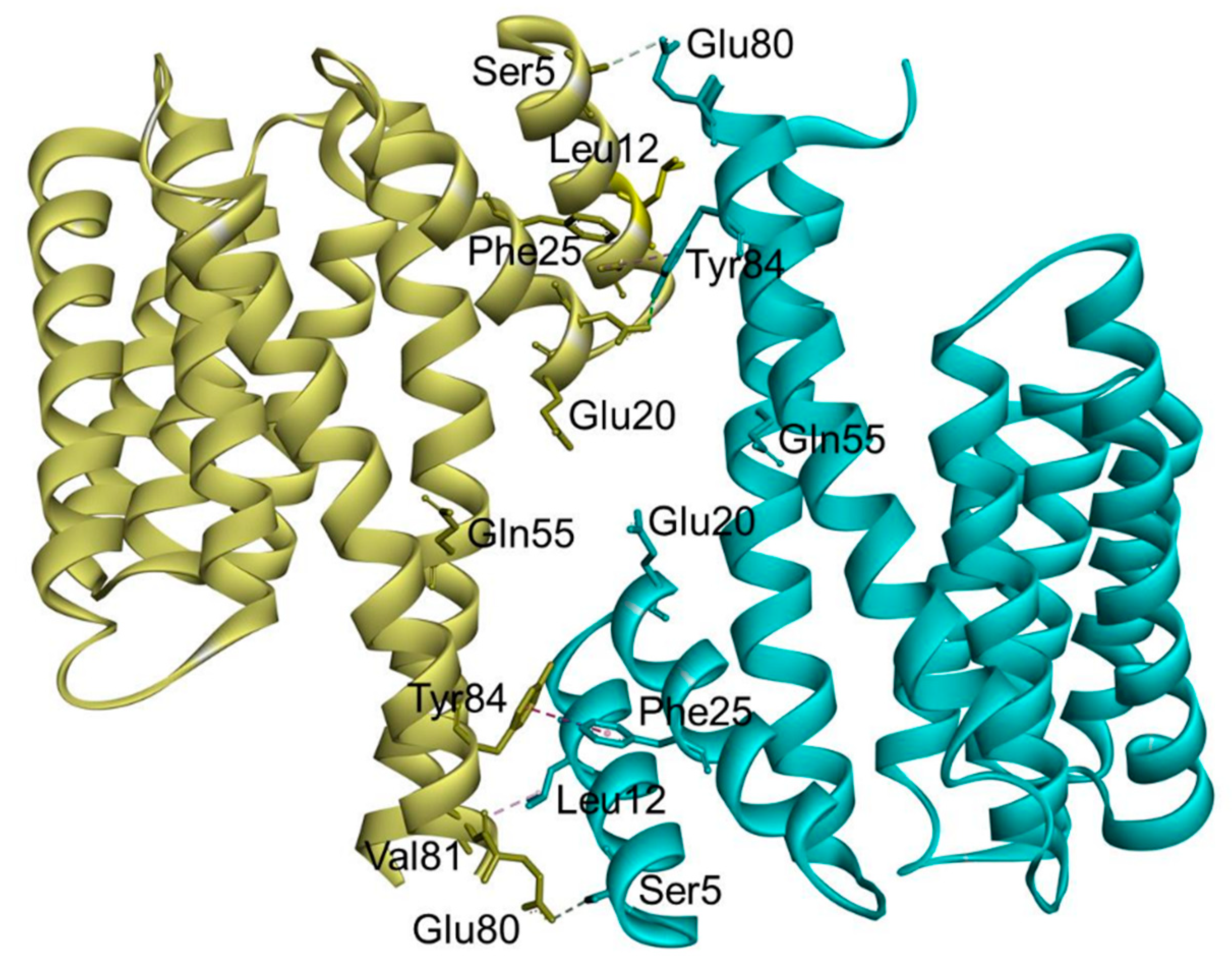 Pharmaceuticals 13 00441 g003 Pharmaceuticals 13 00441 g003