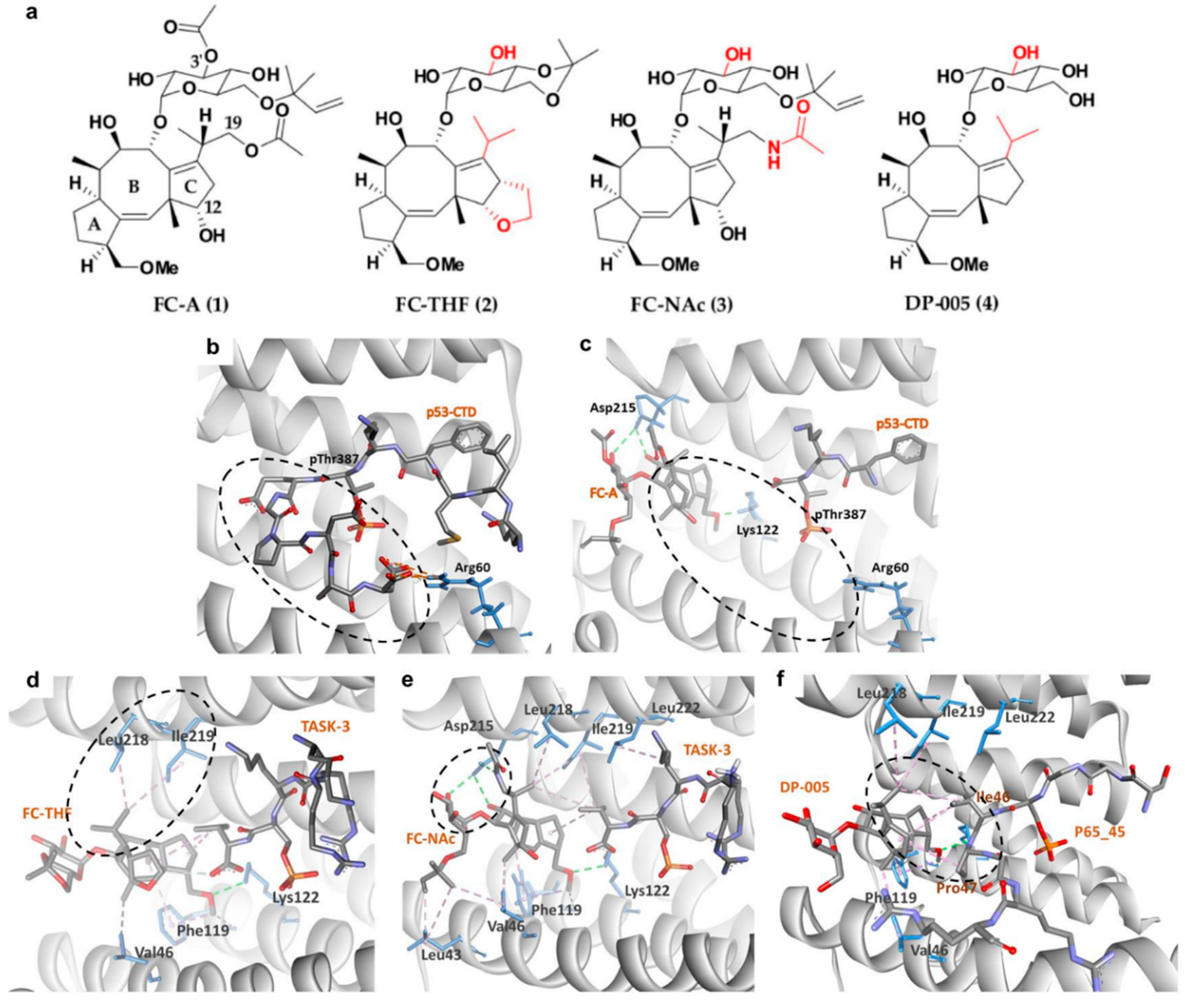 Pharmaceuticals 13 00441 g004 Pharmaceuticals 13 00441 g004
