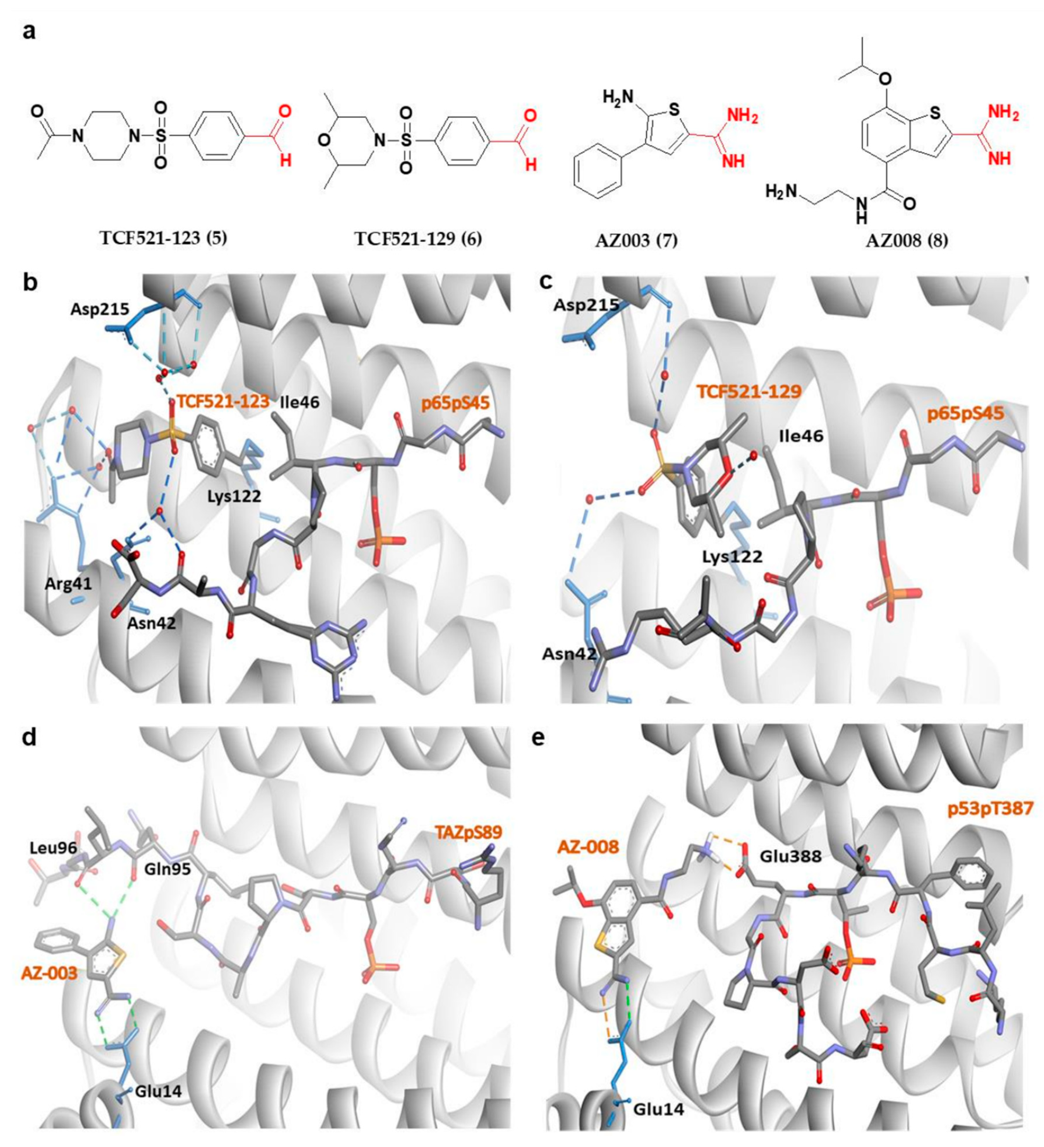 Pharmaceuticals 13 00441 g005 Pharmaceuticals 13 00441 g005