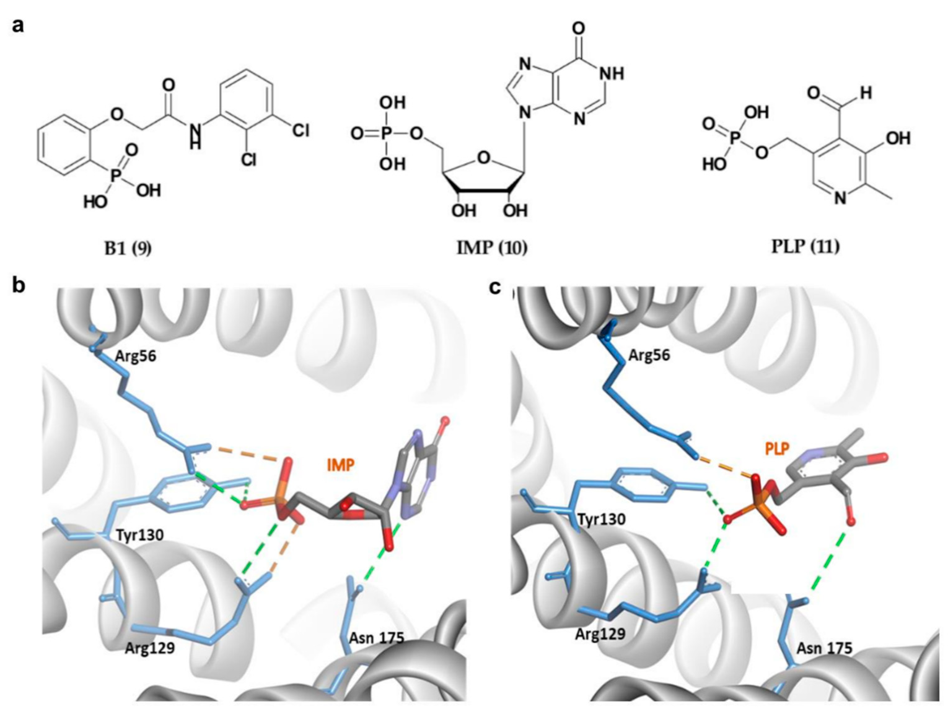 Pharmaceuticals 13 00441 g006 Pharmaceuticals 13 00441 g006