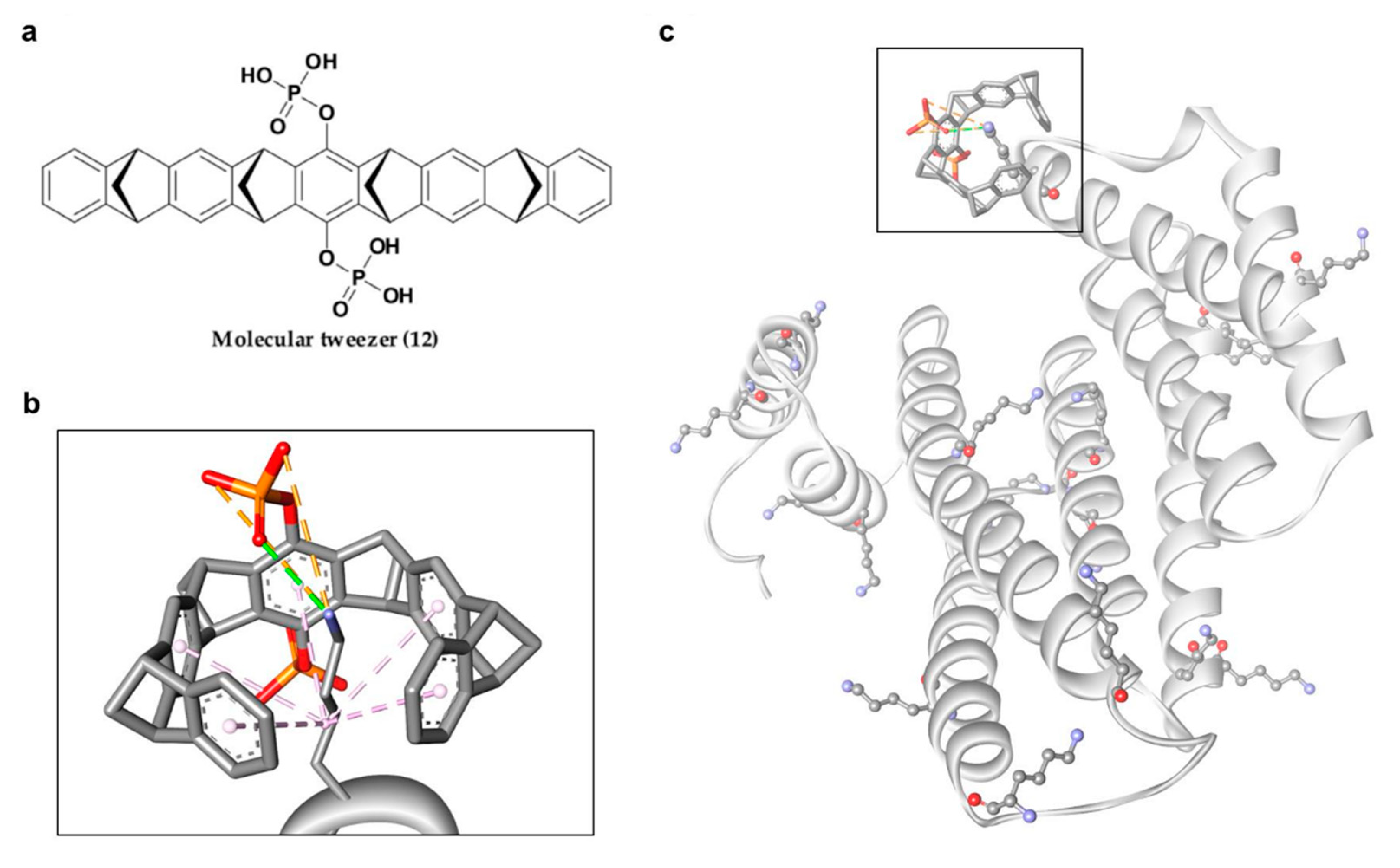 Pharmaceuticals 13 00441 g007 Pharmaceuticals 13 00441 g007