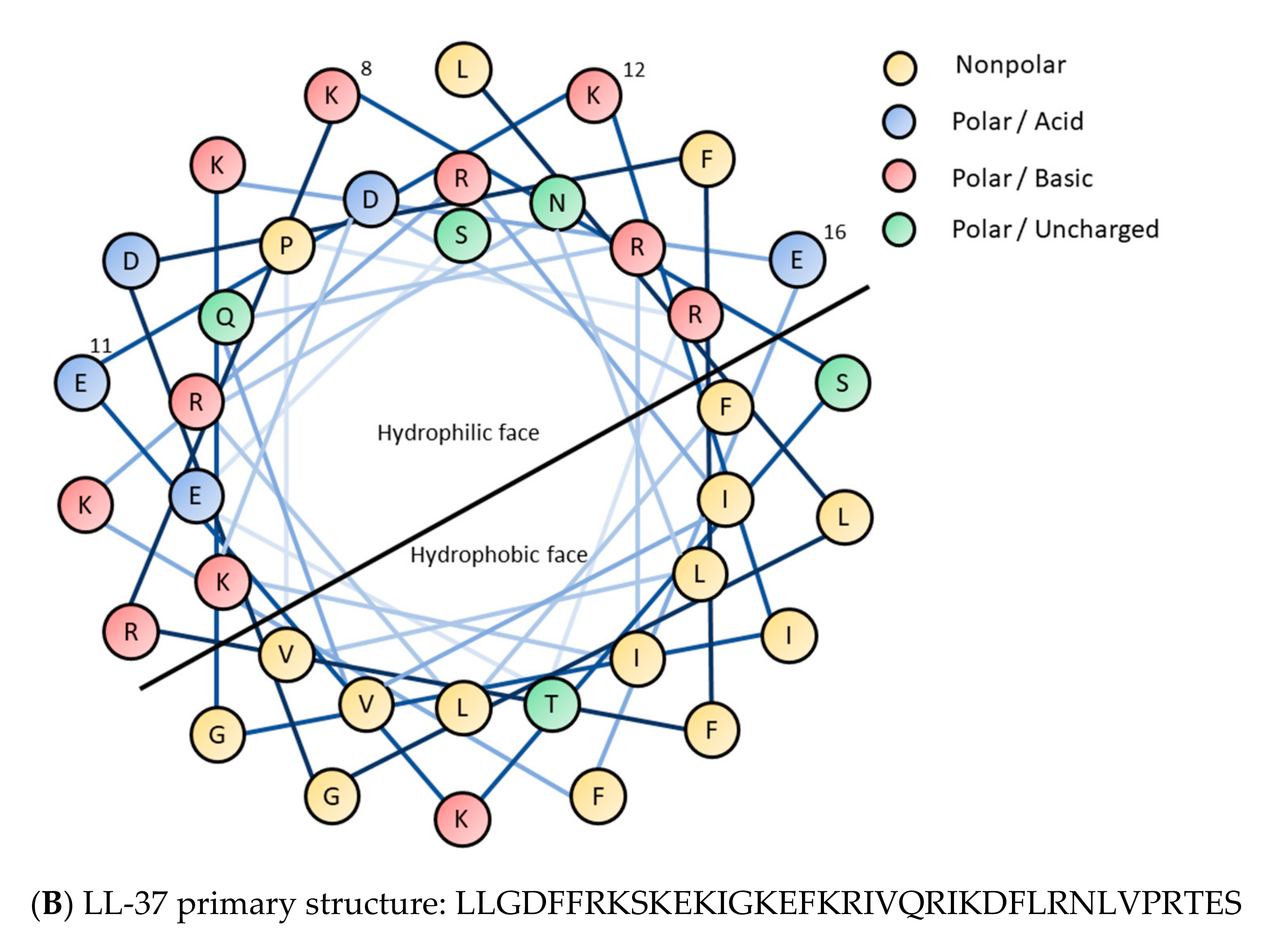 Pharmaceuticals 13 00442 g002b Pharmaceuticals 13 00442 g002b